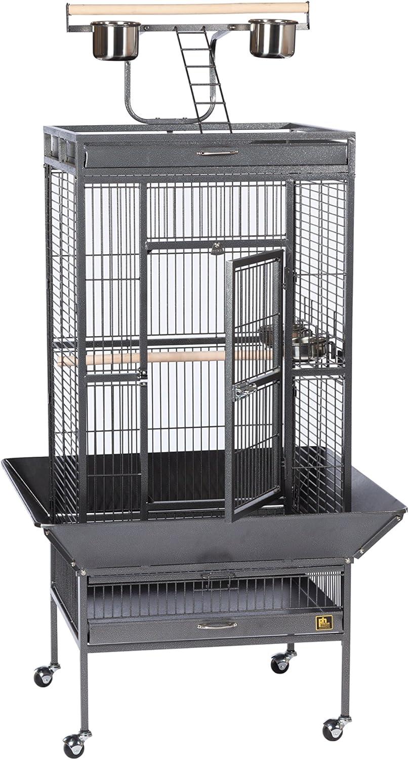 Prevue Pet Products 3152BLK Wrought Iron Select Bird Cage, Black Hammerstone