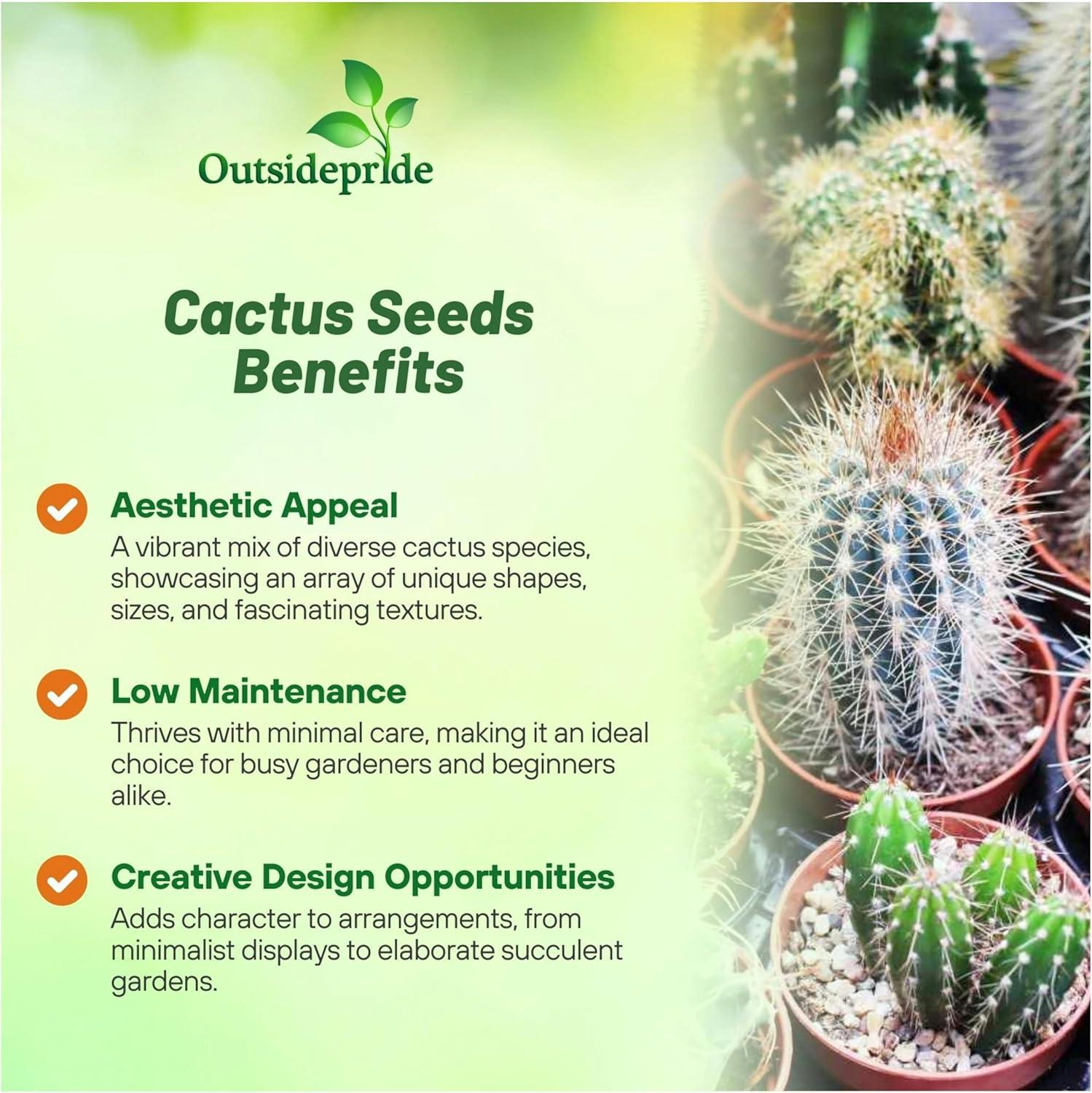 2000 Seeds Green and Brown Cactus Succulent Mix