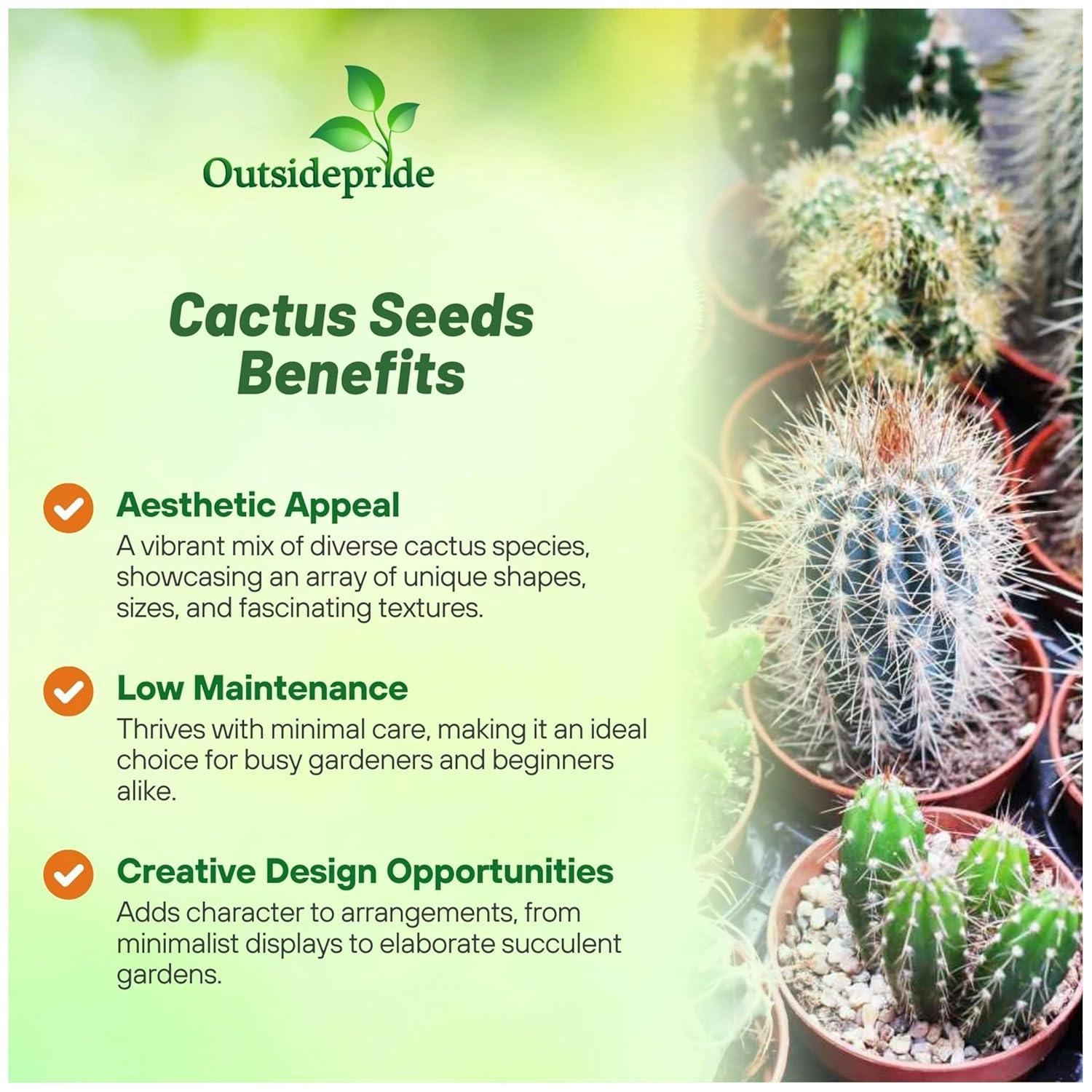 2000 Seeds Green and Brown Cactus Succulent Mix