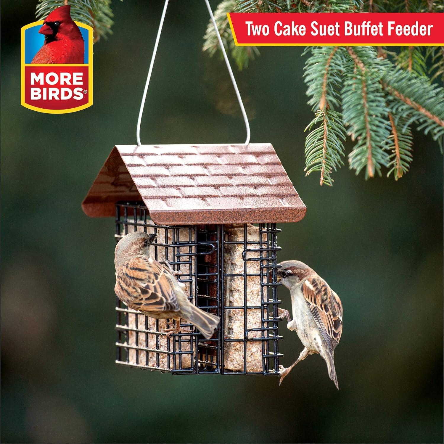 More Birds 2 Cake Suet Feeder with Weather Guard: Solid Steel, Dual Feeding Stations, Weather-Resistant