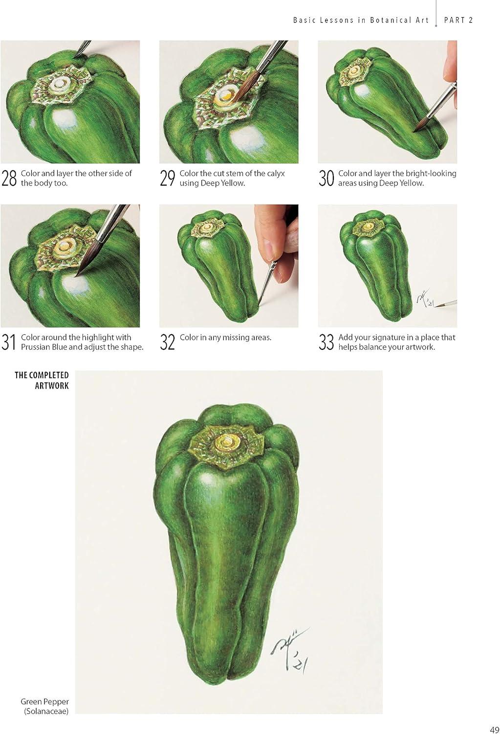 A Step-By-Step Guide to Botanical Drawing & Painting - by  Hidenari Kobayashi (Paperback)