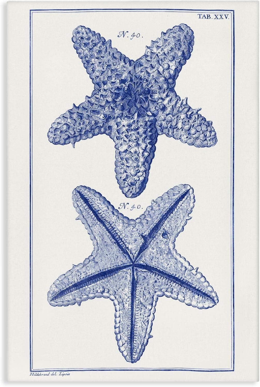 Stupell Industries Blue Starfish Studies, 20" x 30"