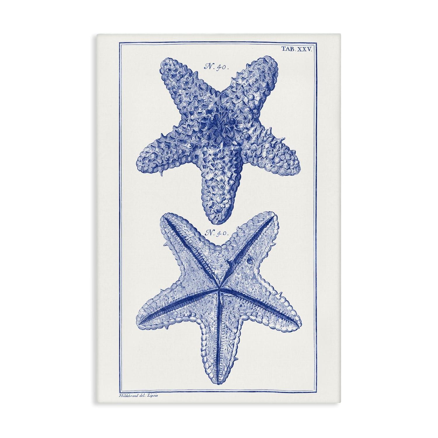 Stupell Industries Blue Starfish Studies, 20" x 30"