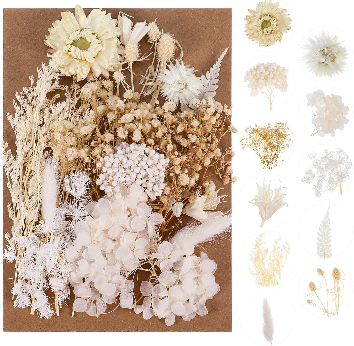 Yoloke DIY Dried Flowers Craft Kit - Natural Assorted Dried Florals for Making Everlasting Valentine's Day Gifts, Unique Design, Perfect for Framing & Creative Decor
