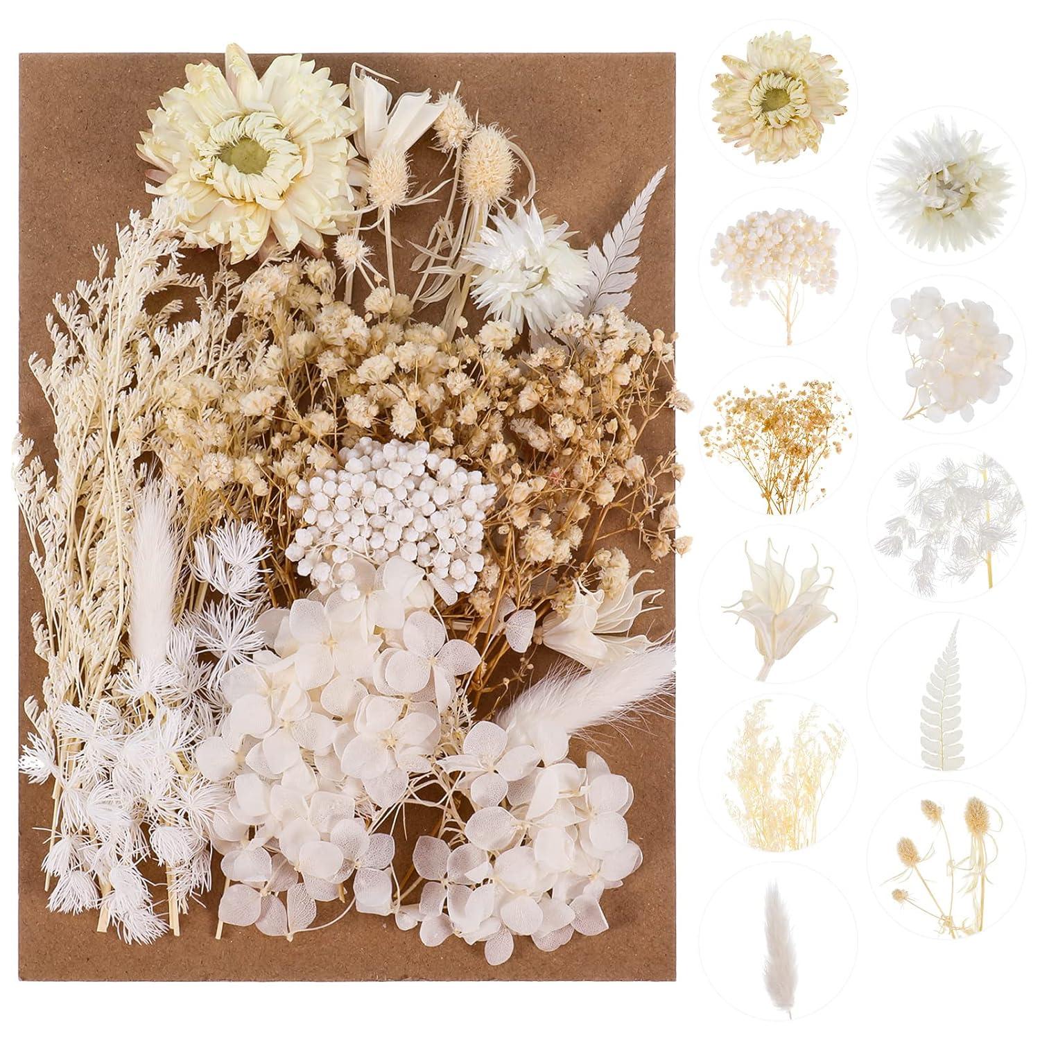 Yoloke DIY Dried Flowers Craft Kit - Natural Assorted Dried Florals for Making Everlasting Valentine's Day Gifts, Unique Design, Perfect for Framing & Creative Decor