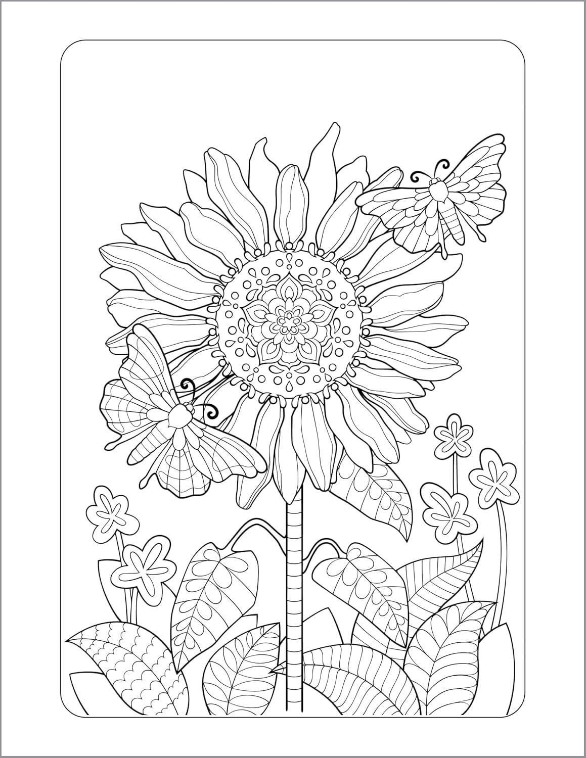 Anxiety Relief Coloring Book for Adults - by  Rockridge Press (Paperback)