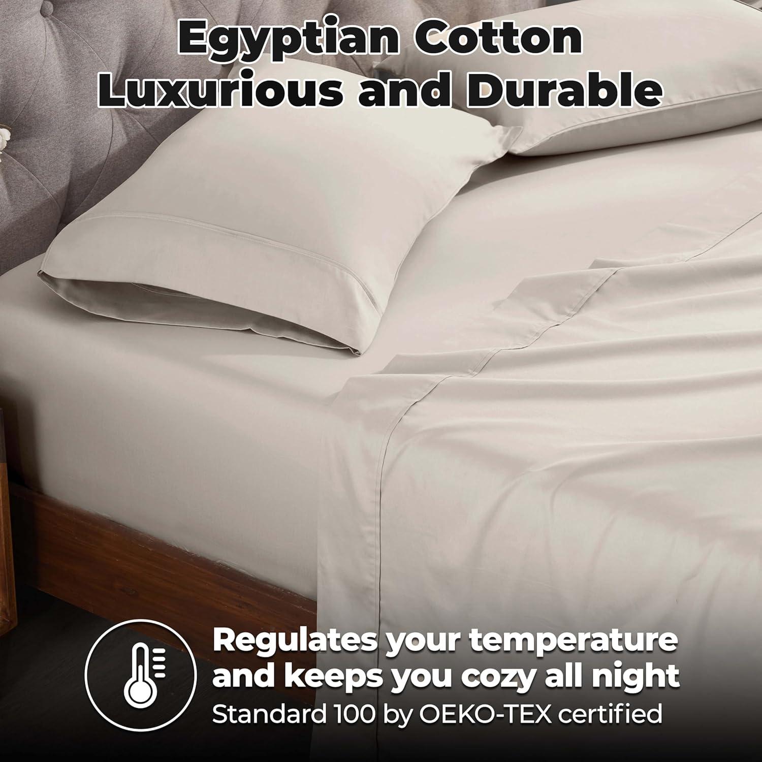 Superior Egyptian Cotton 300 Thread Count Solid Pillowcases (Set of 2)