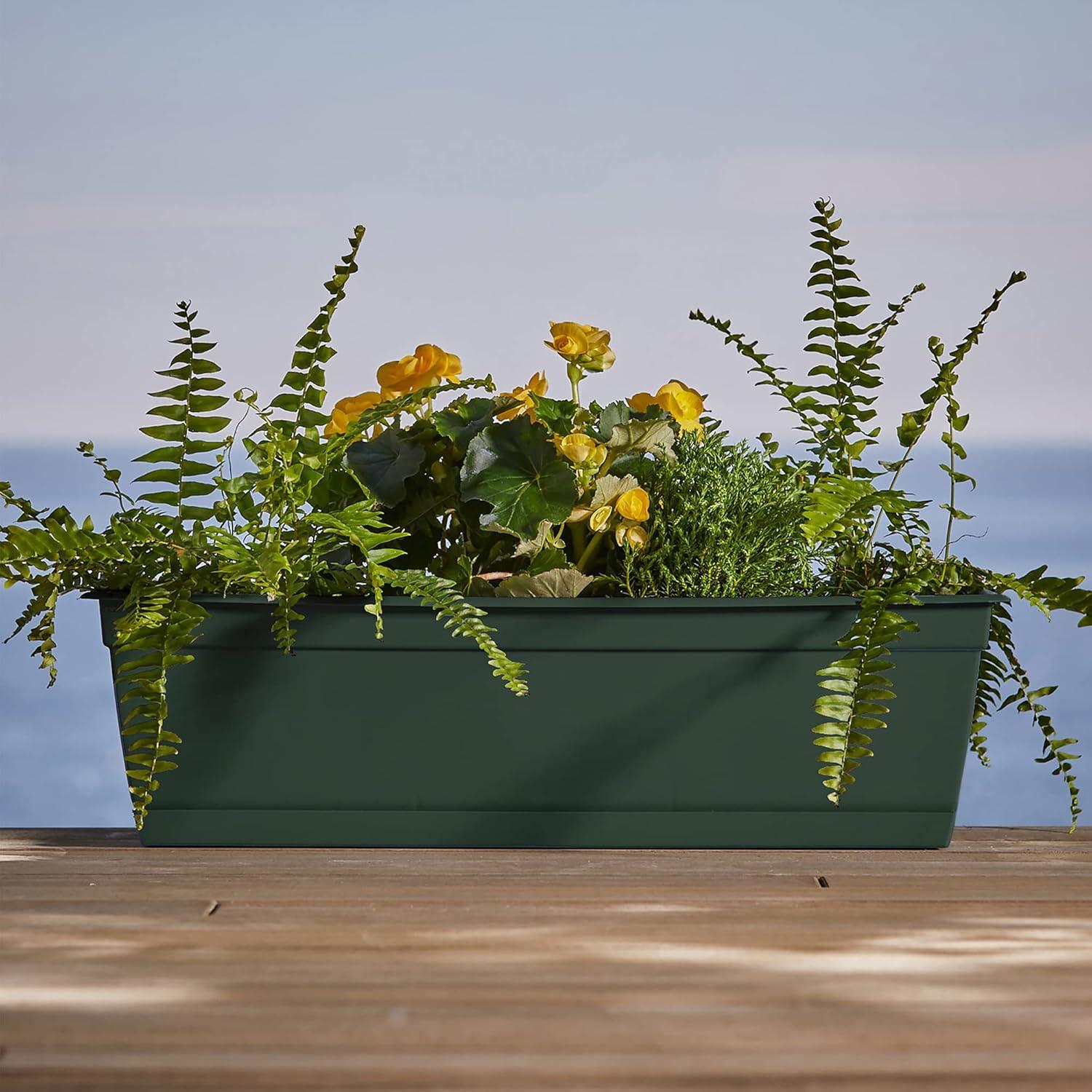 Bloem Dayton 6.87 in. H X 24 in. W Plastic Ocean Series Window Box Turtle Green