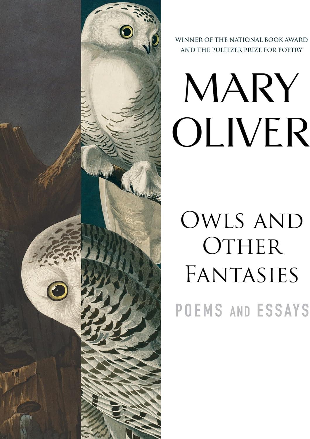 Owls and Other Fantasies - by  Mary Oliver (Paperback)