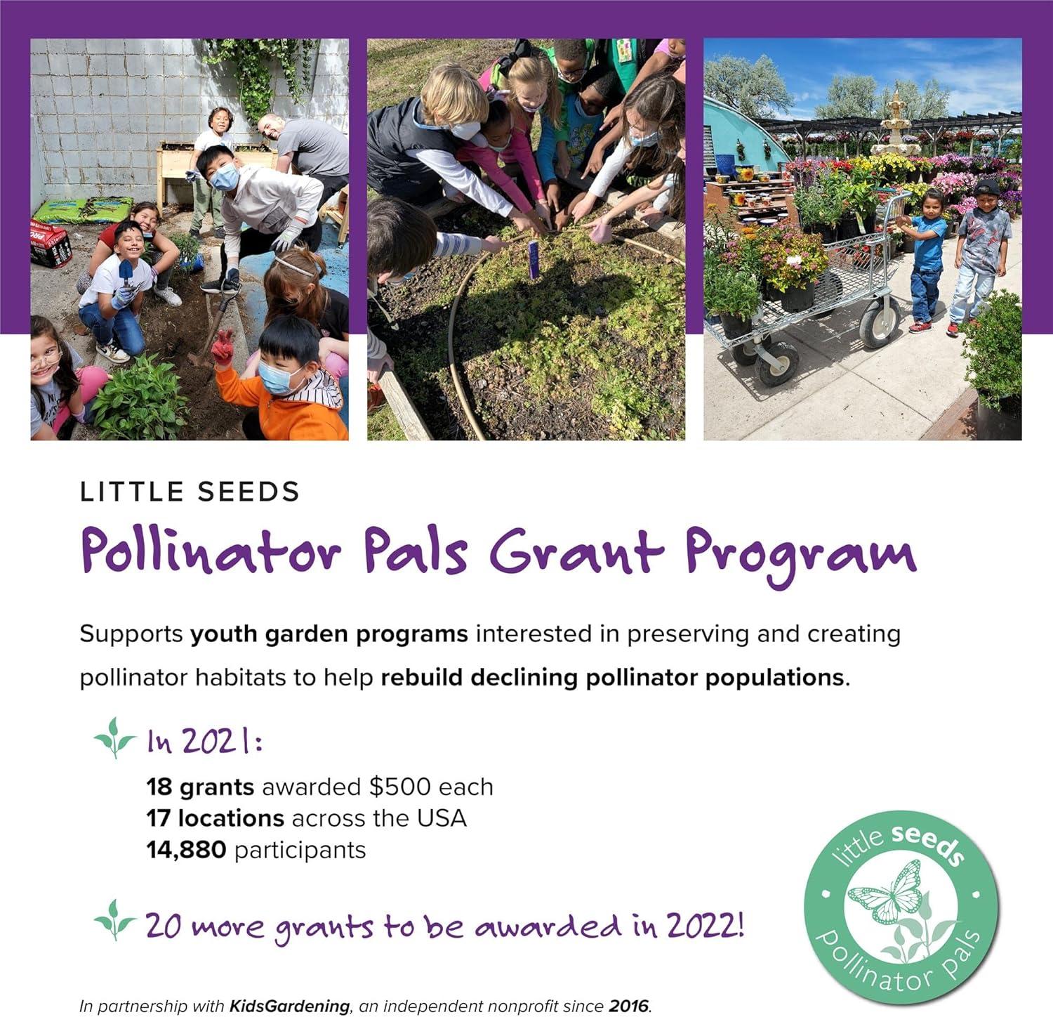 Little Seeds Little Seeds Aviary Toddler Rail with Spindles, White