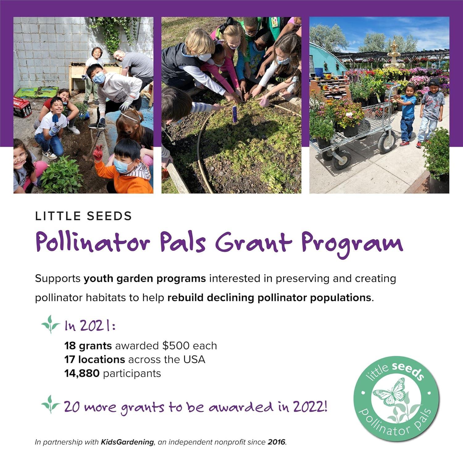 Little Seeds Little Seeds Aviary Toddler Rail with Spindles, White