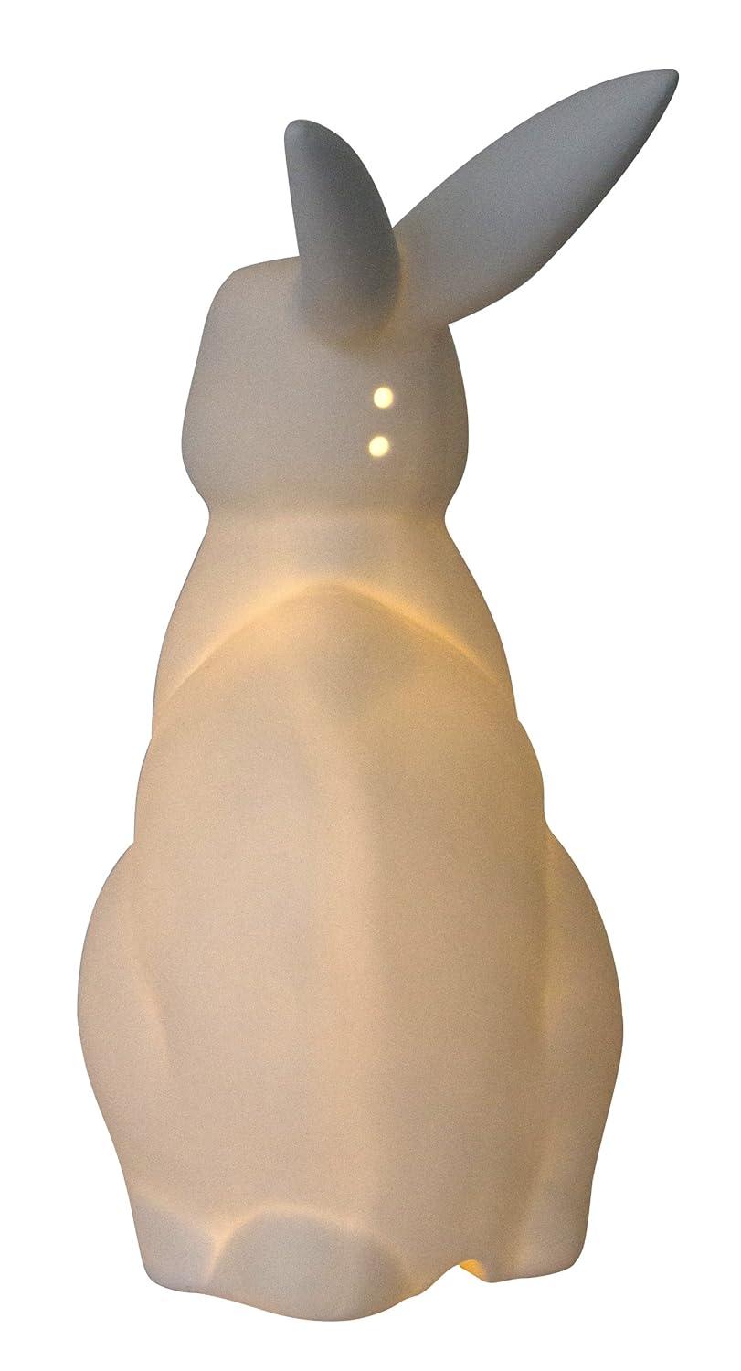 Gracie Oaks Creekwood Home 10.43" Glowing Ceramic Bunny Rabbit Light, For Home Décor, Nightstand, End Table, Entryway, Bookshelf, Kid's Room, White