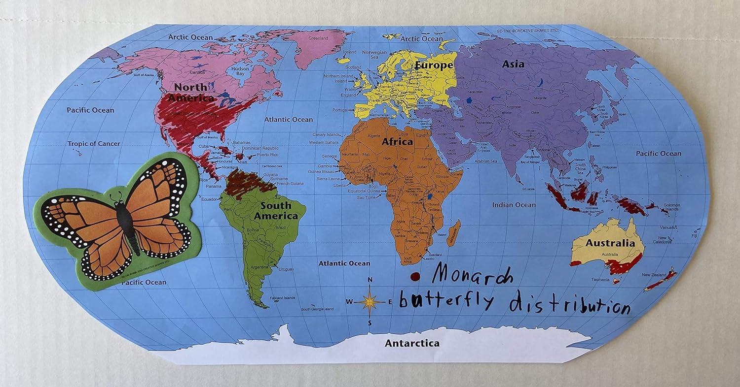 Shapes Etc. 8.1'' W x 15.9'' H Dry Erase And Laminated World Map