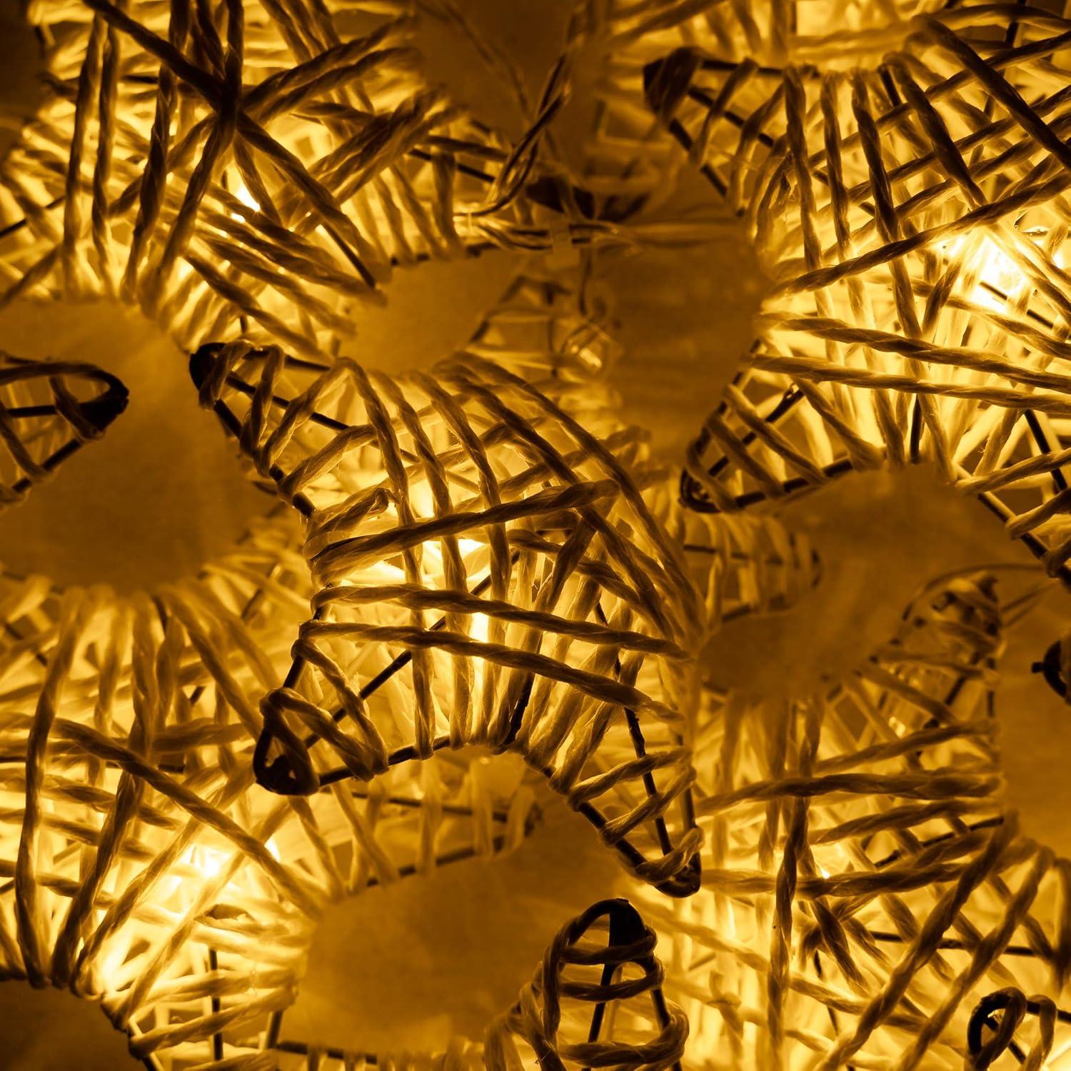 The Holiday Aisle® LED Net Lights