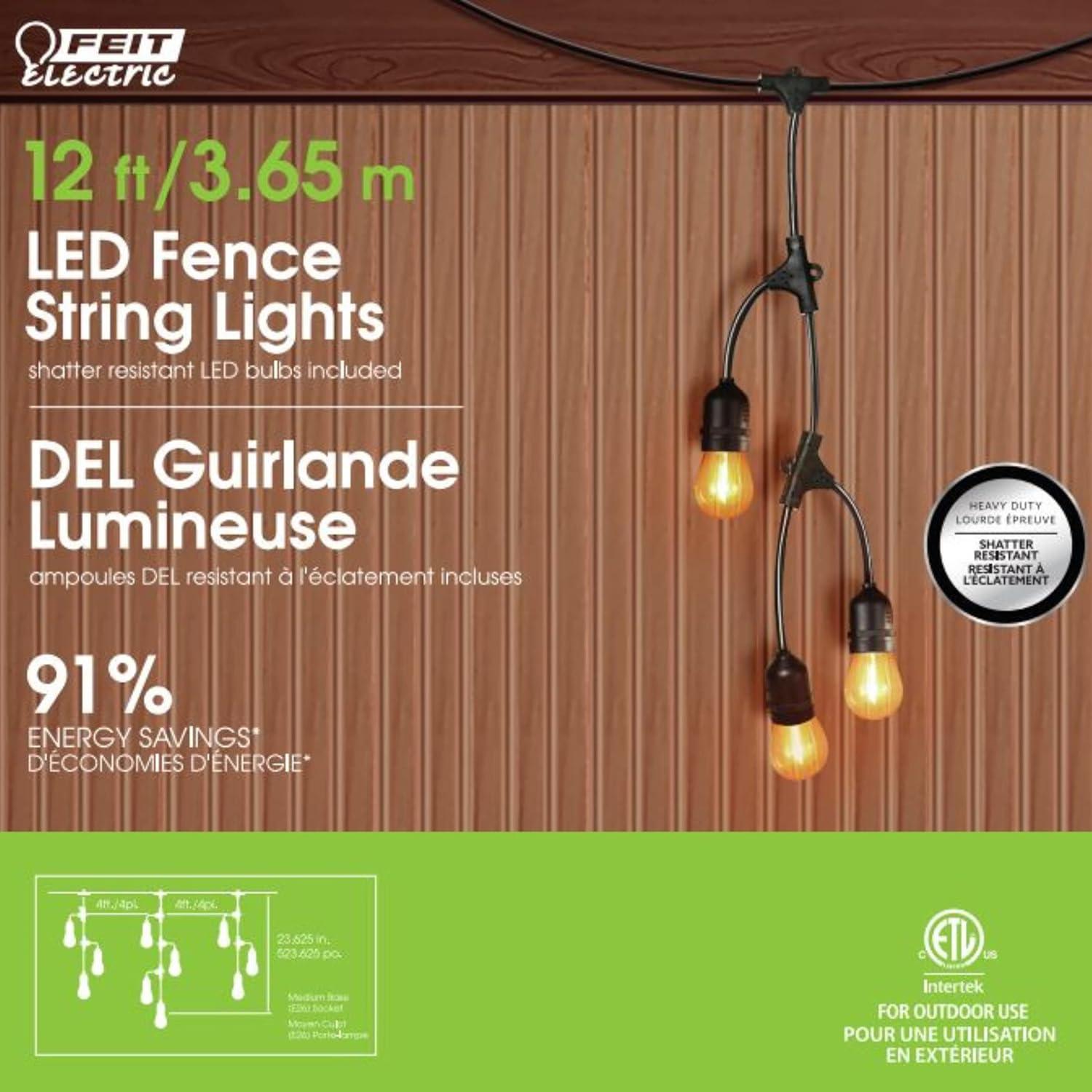 Feit Electric LED String Lights Clear 12 ft. 10 lights