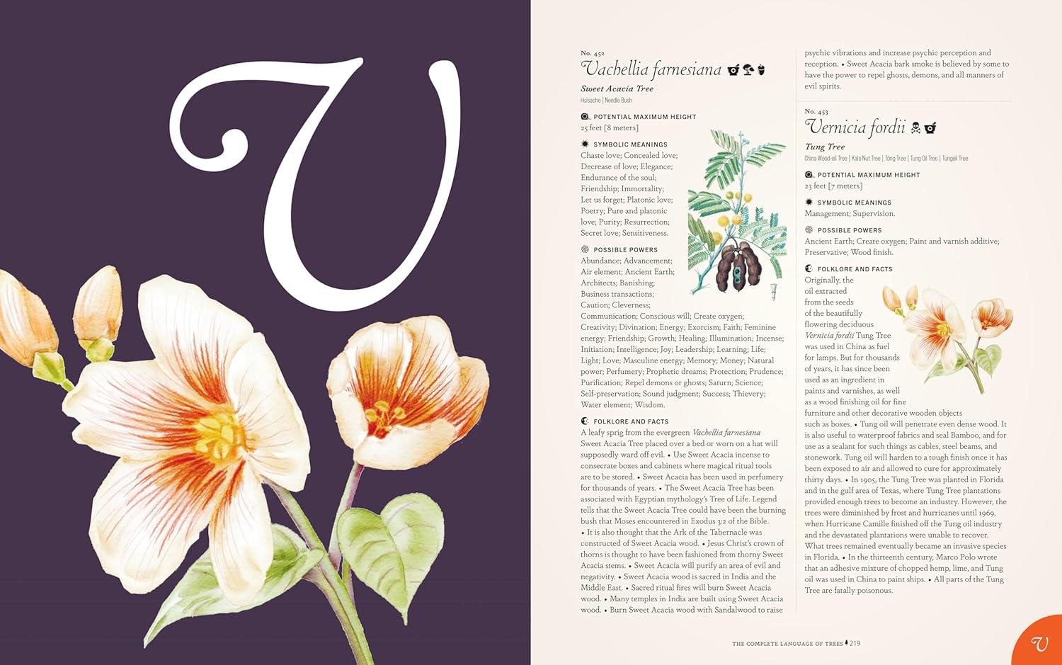 The Complete Language of Trees - Pocket Edition - by  S Theresa Dietz (Hardcover)