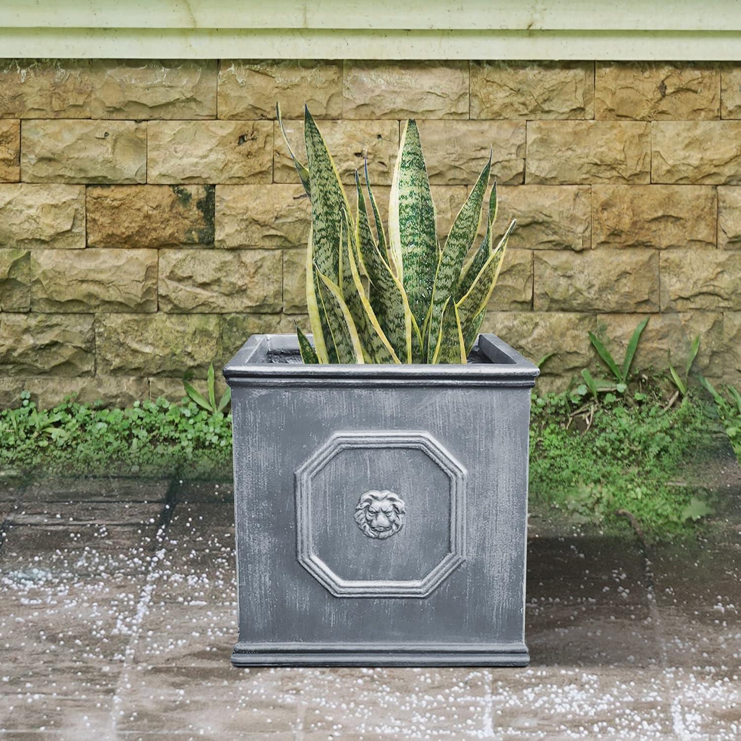 12.6" Kante Lightweight Classic Square English Style Lion Head Concrete Planter Antique Gray - Rosemead Home & Garden, Inc.