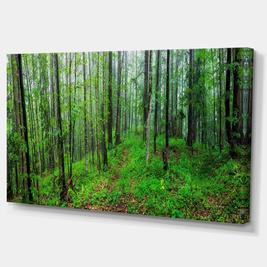 Green Wild Forest with Dense Trees Photographic Print on Wrapped Canvas