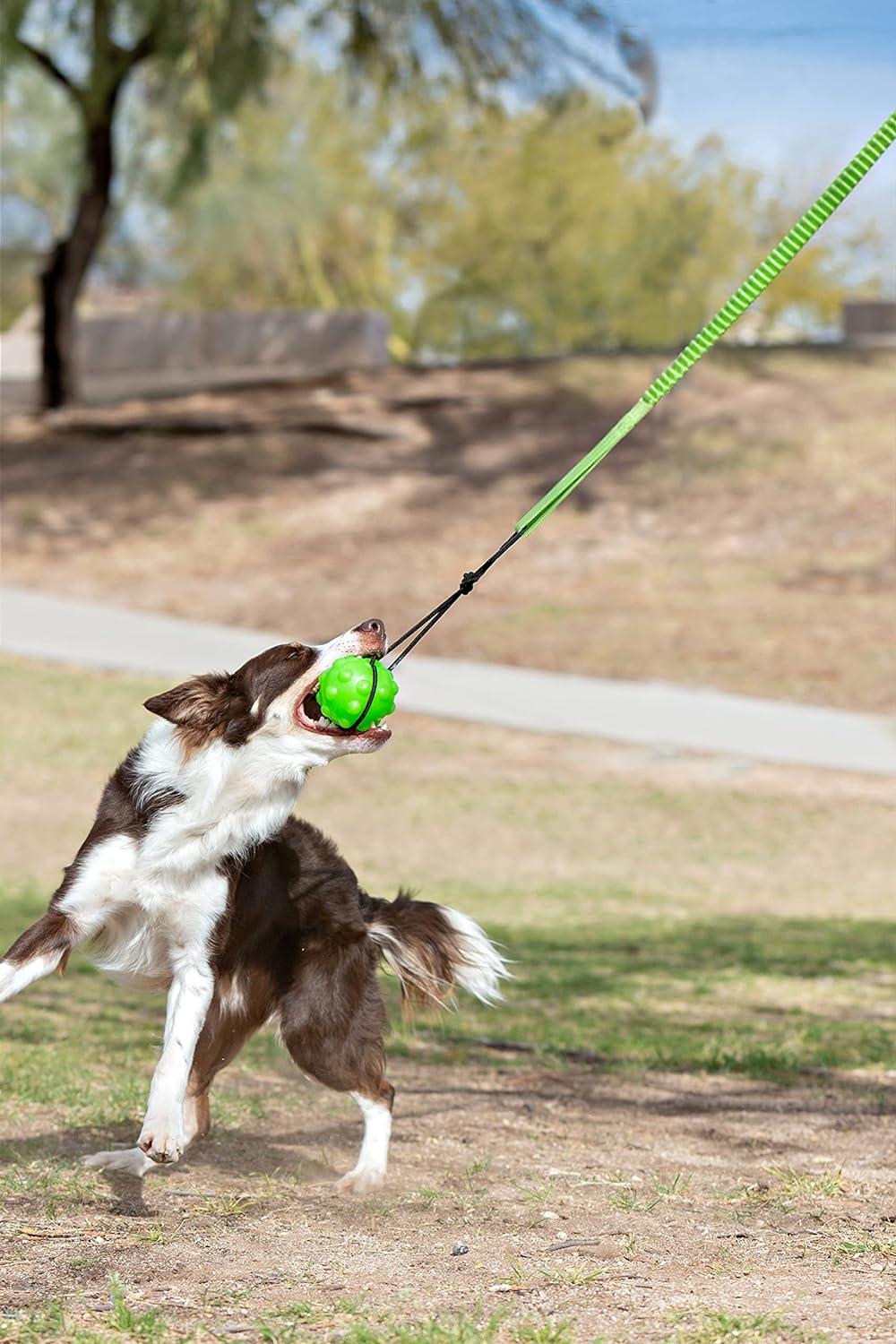 Jolly Pets Tree Tugger For Dog - Green