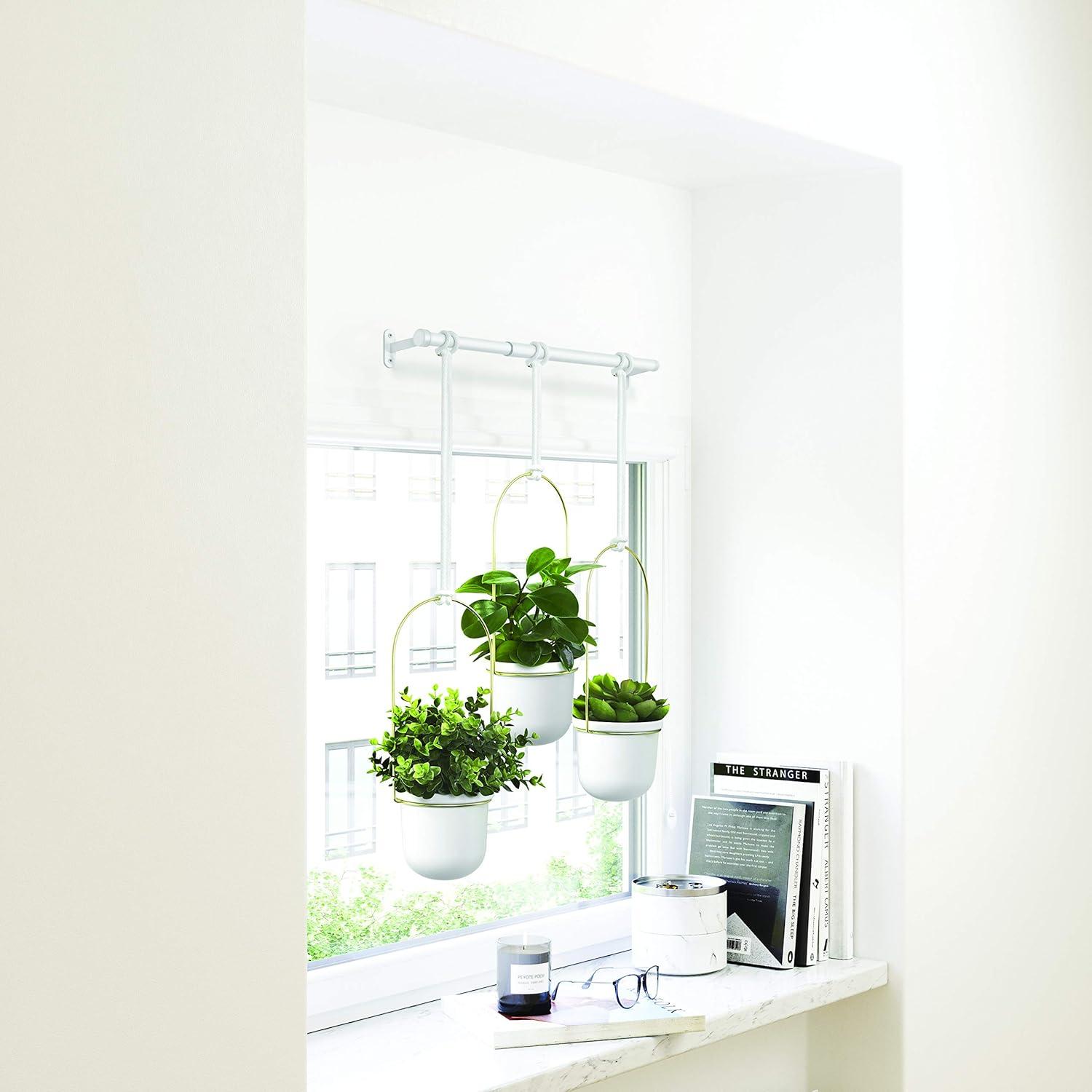 Umbra Triflora 3 Hanging Wall Planter