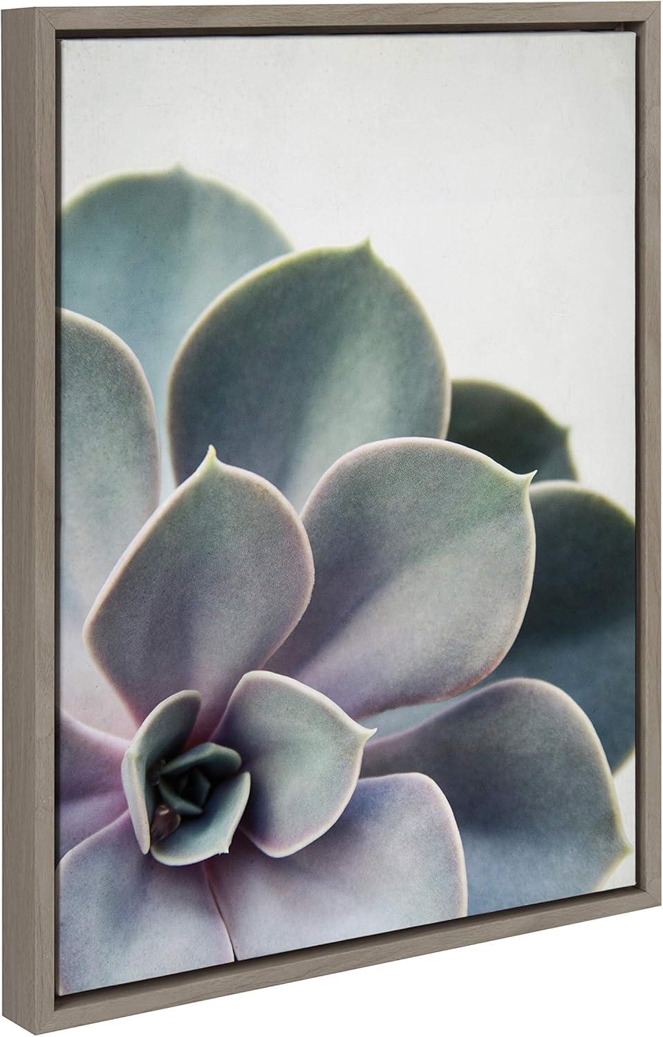 Sylvie Succulent 5 Framed Canvas by F2 Images - Kate & Laurel All Things Decor