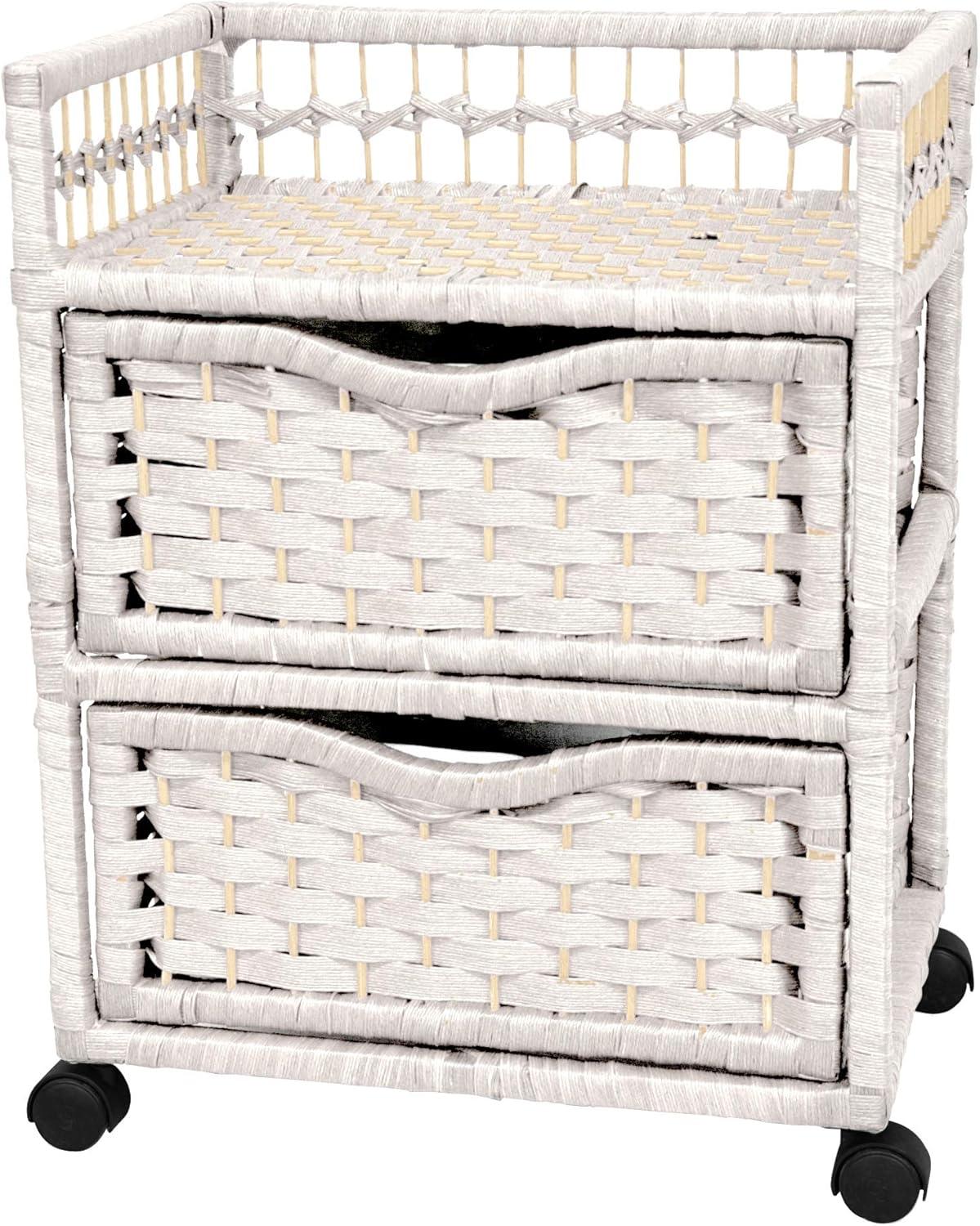 Bay Isle Home™ Aimee 2 Drawer Storage Drawer