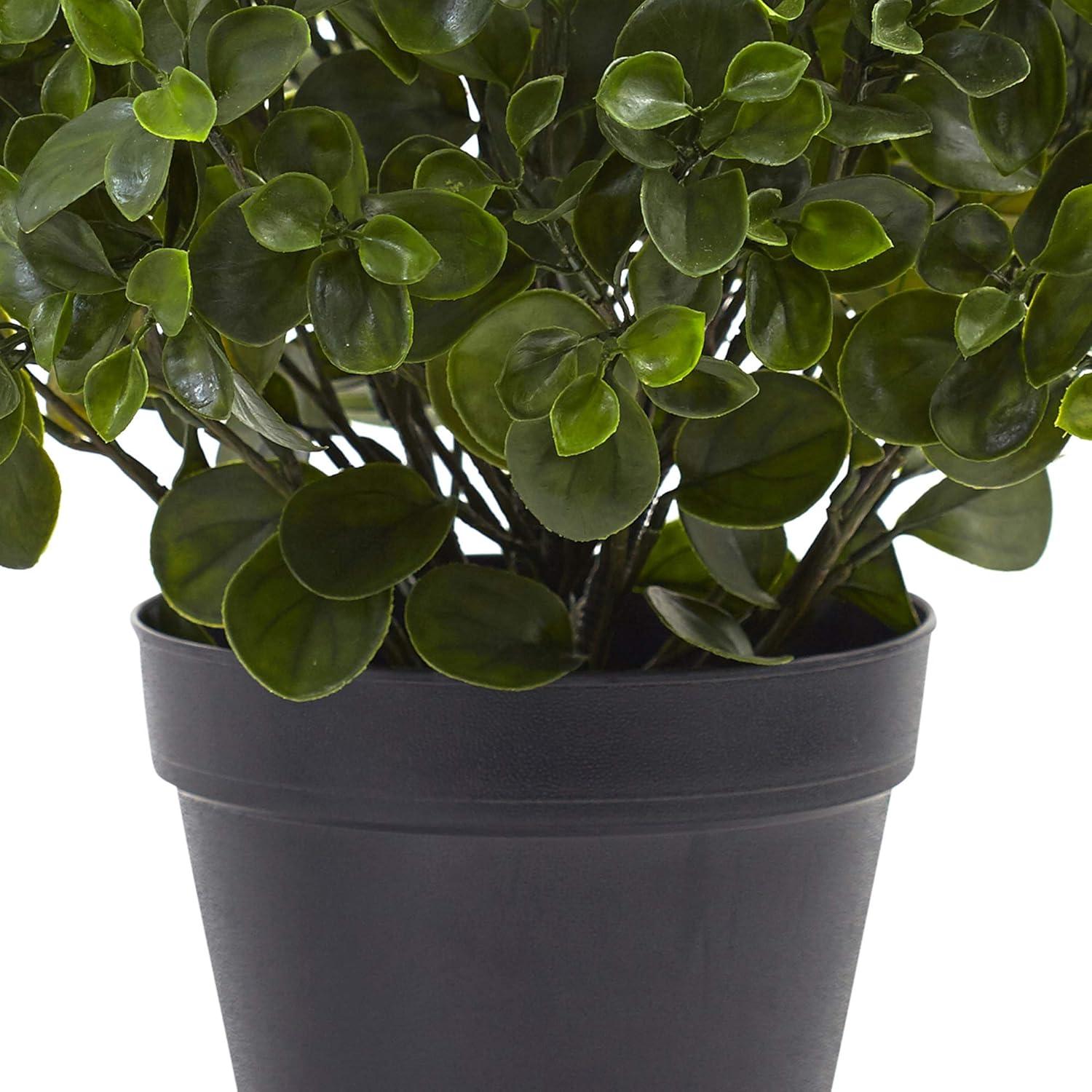 Nearly Natural 23 in. Peperomia Plant UV Resistant (Indoor/Outdoor)