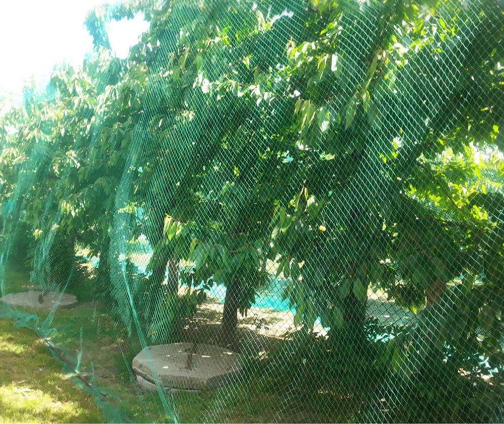 Green Rectangular Nylon Anti-Bird Garden Netting