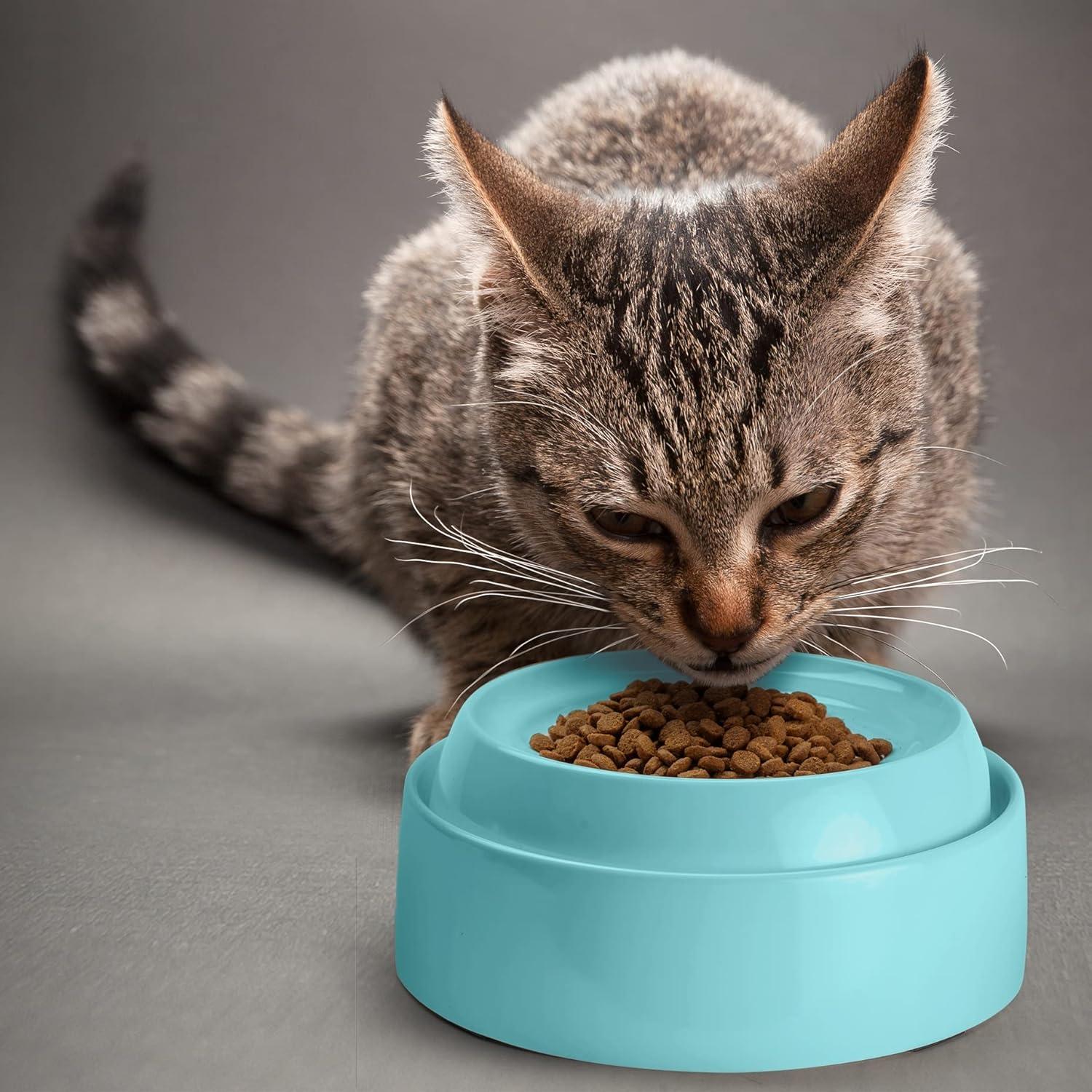 CatGuru Cat Bowls, Whisker Stress Free Cat Food Bowl, Reliefs Whisker Fatigue, Wide Cat Bowl, Non Slip Cat Food Bowls, Shallow Cat Dish, Cat Feeding & Watering Supplies (Aruba)