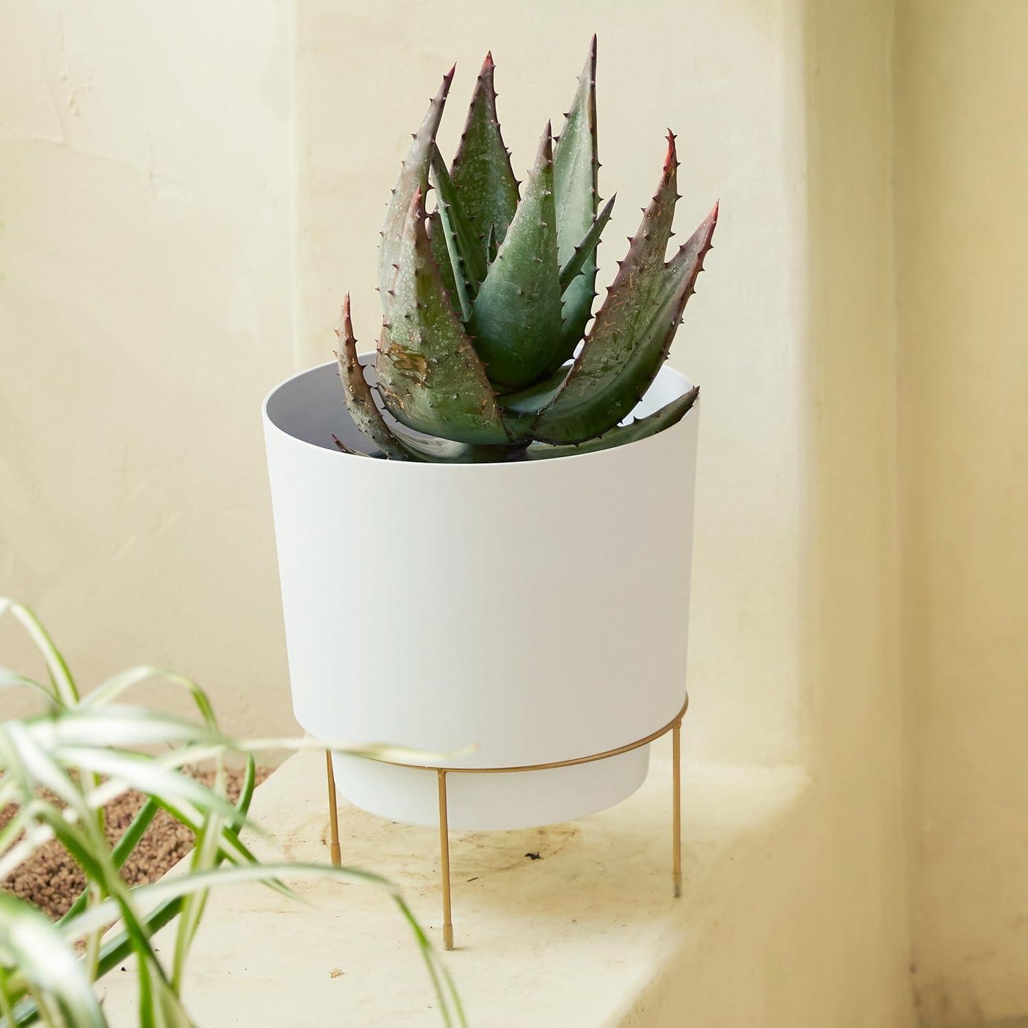 Bloem Hopson 12 in. H X 10 in. D Metal/Plastic Planter with Stand Casper White