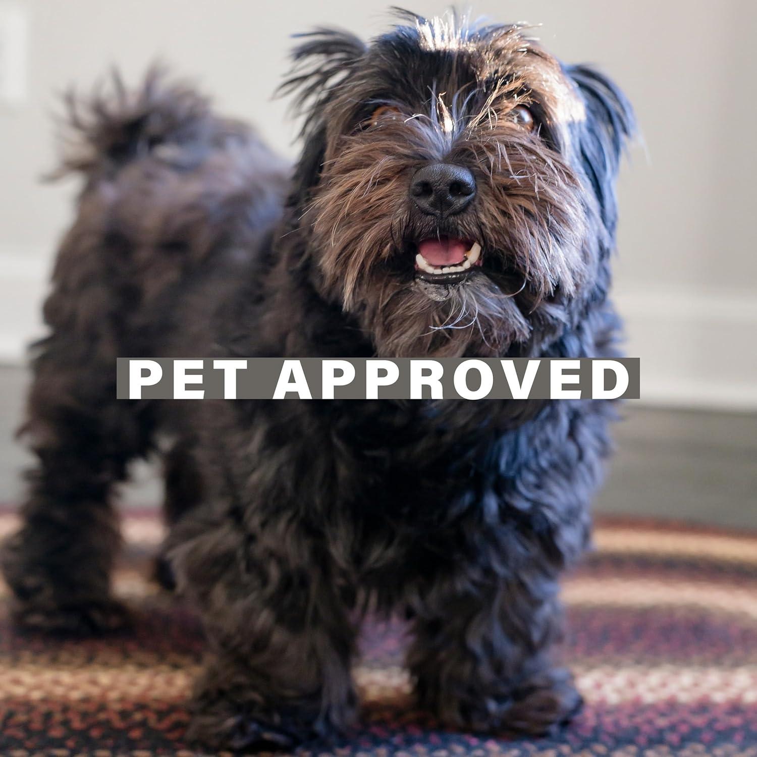 Homespice Midnight Moon Washable 8x10' Rug for Living Room, Bedroom Rug and Dining Room, Indoor-Outdoor Patio Rug Pet Friendly. Decor Style- Farmhouse Rug, Rustic, Country, Black Braided Rug