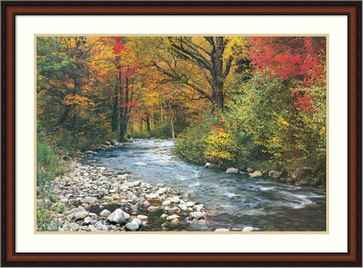 Forest Creek Fall Landscape Framed Wall Art in Walnut