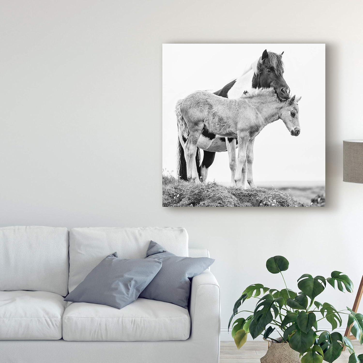 Trademark Fine Art 'Black And White Horses I' Canvas Art by PHBurchett