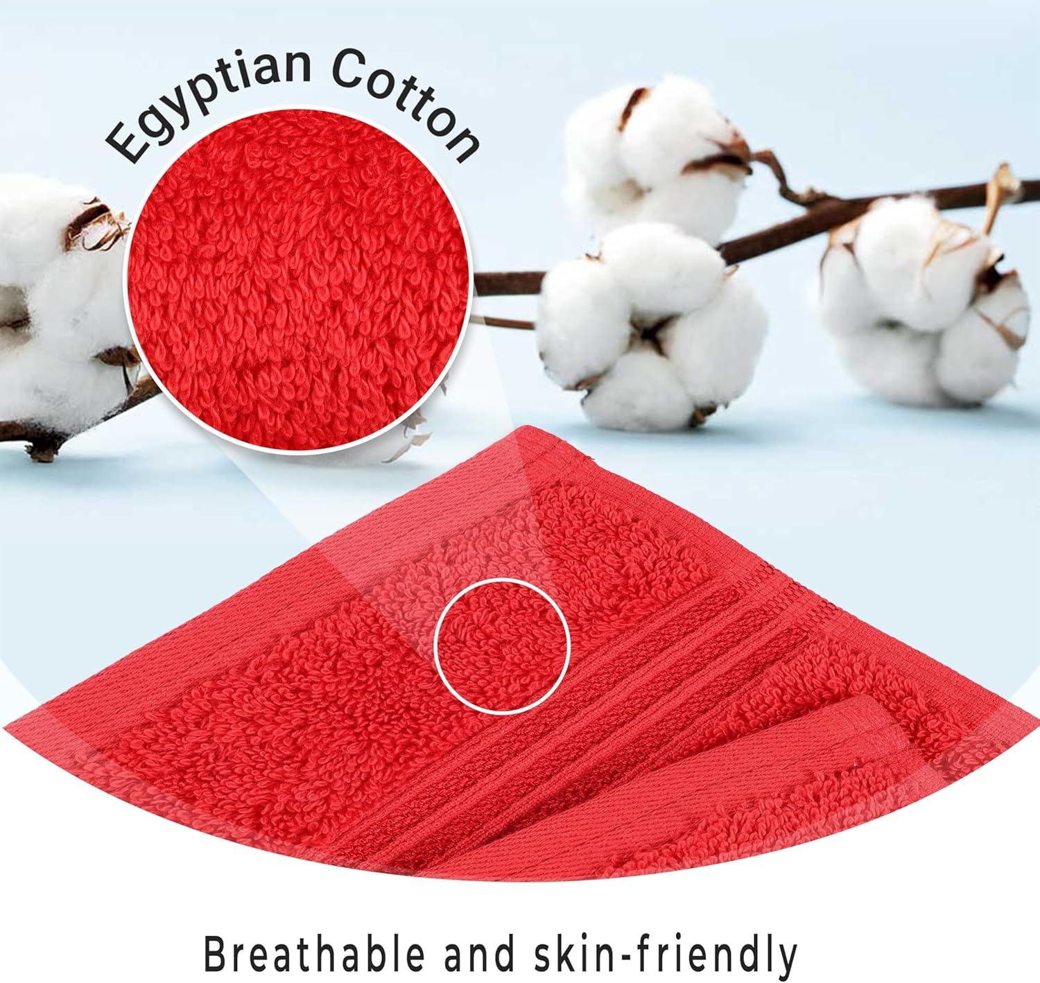 Superior Heritage Certified Egyptian Cotton Plush Absorbent Luxury Bath Towel (Set of 2)