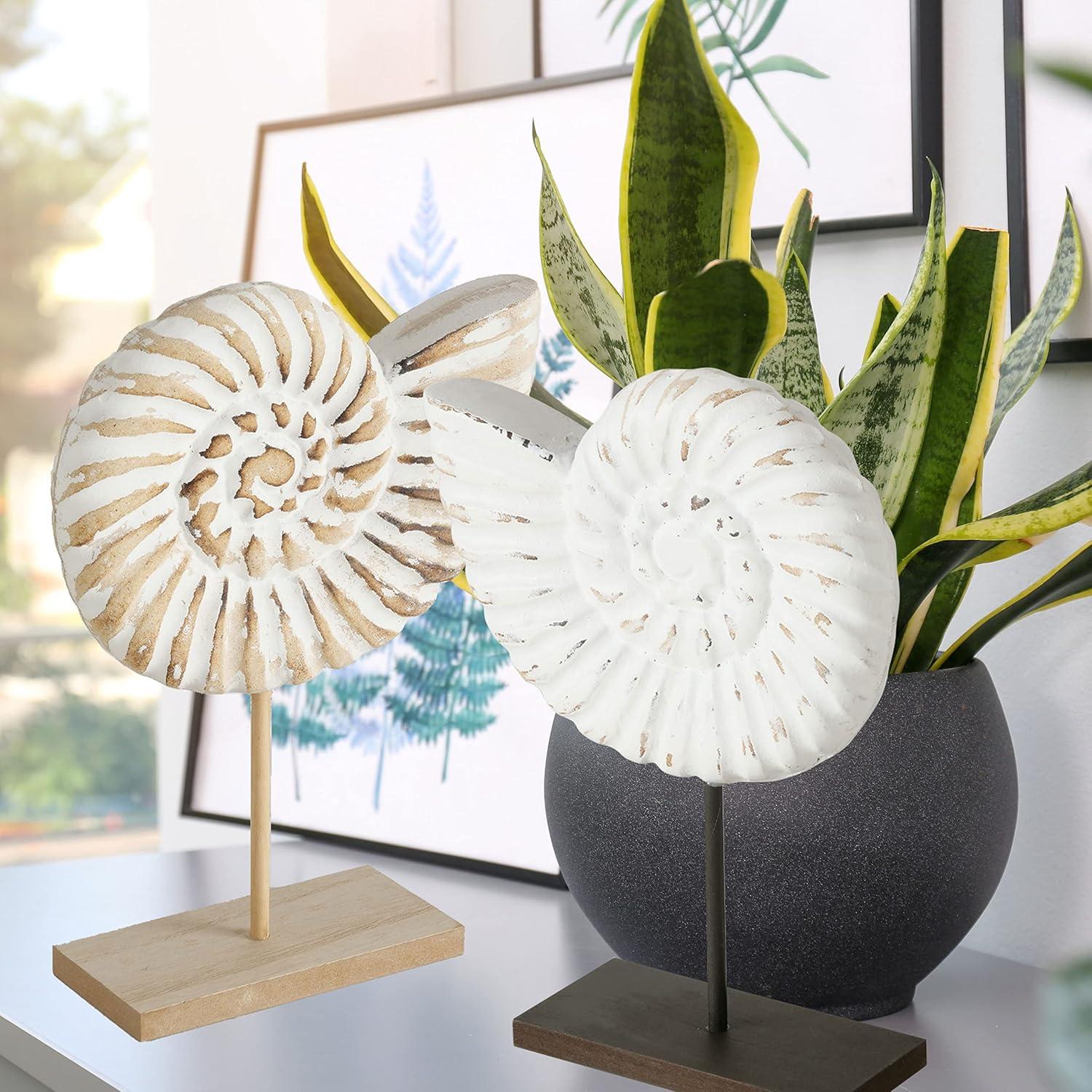 Hand Carved White and Natural Nautilus Shell Sculptures with MDF Wood Base