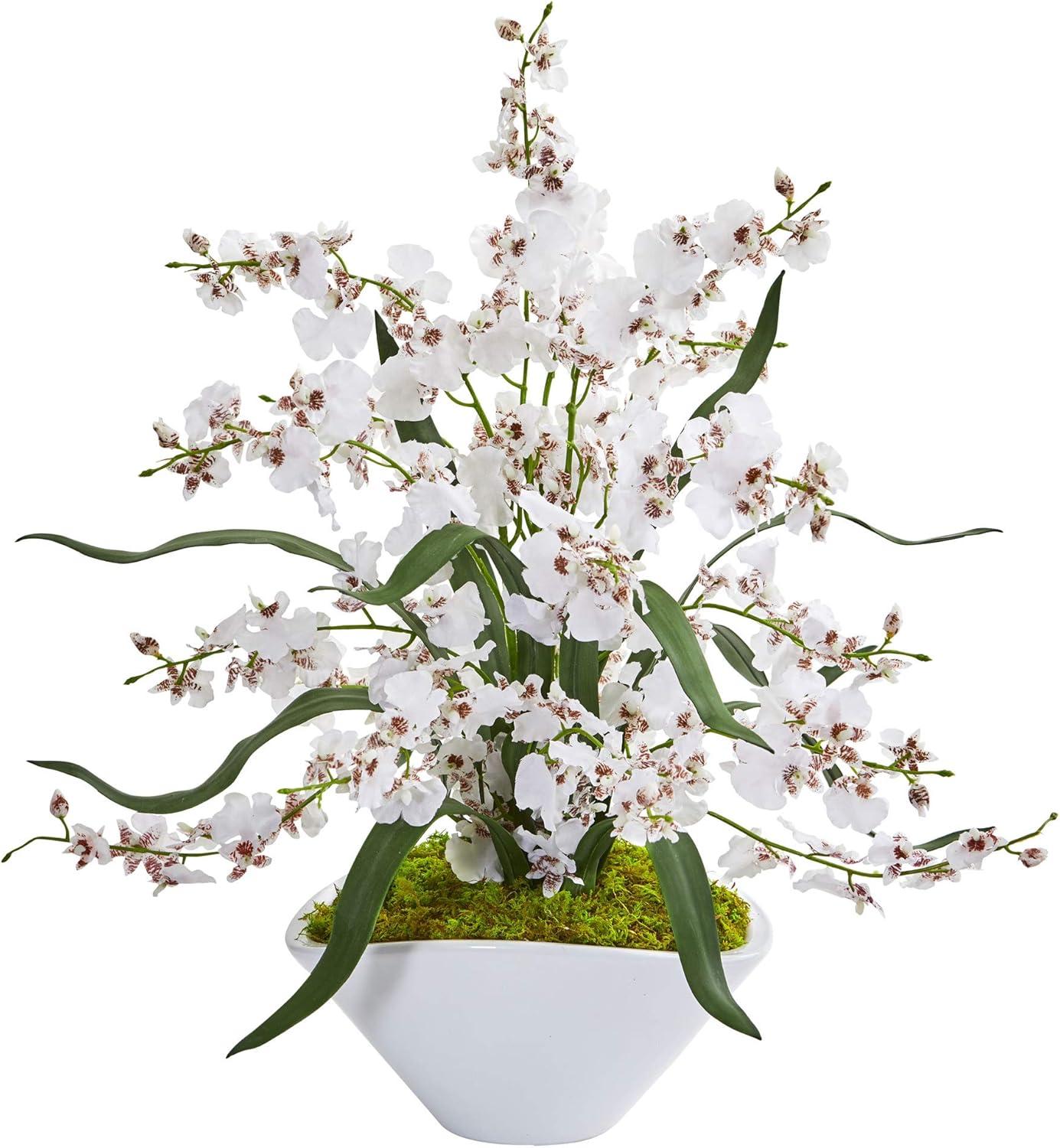 Orchid Arrangement in Vase