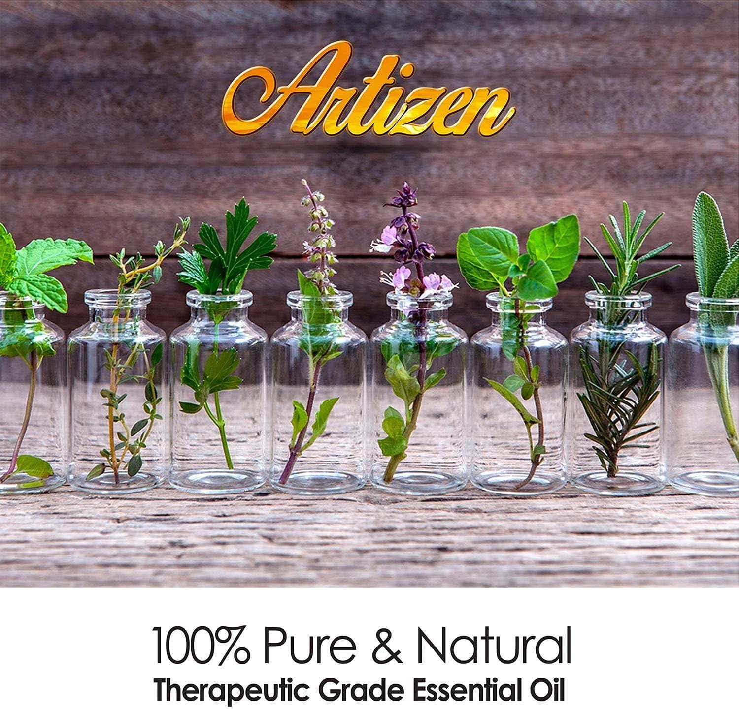 Artizen 30ml Oils - Eucalyptus Essential Oil - 1 Fluid Ounce
