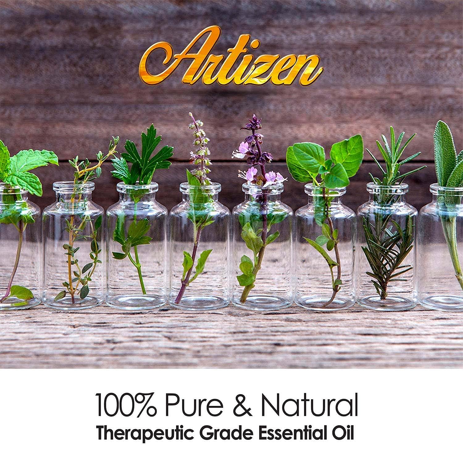 Artizen 30ml Oils - Eucalyptus Essential Oil - 1 Fluid Ounce