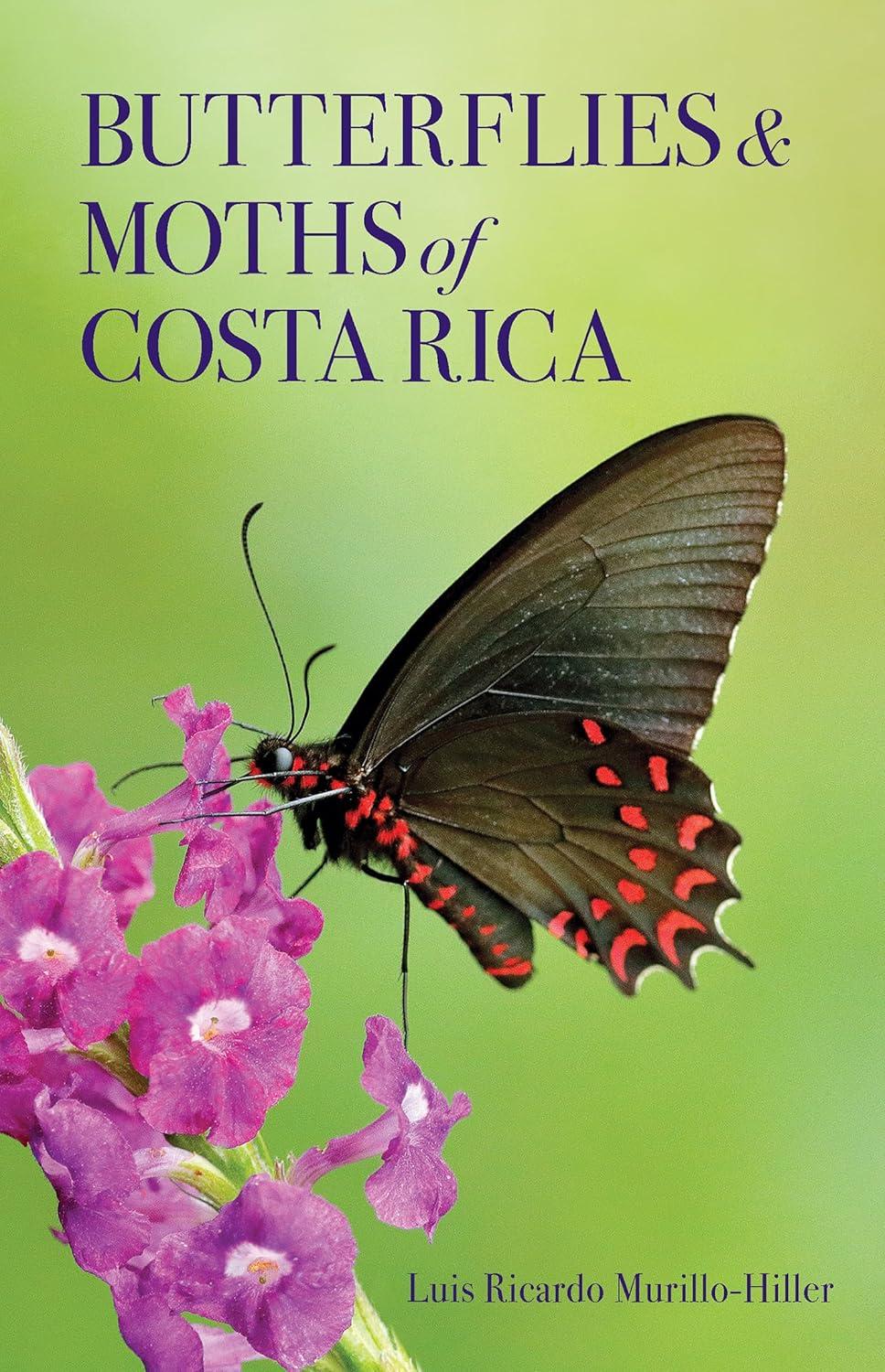 Butterflies and Moths of Costa Rica - (Zona Tropical Publications / Antlion Media) by  Luis Ricardo Murillo-Hiller (Paperback)