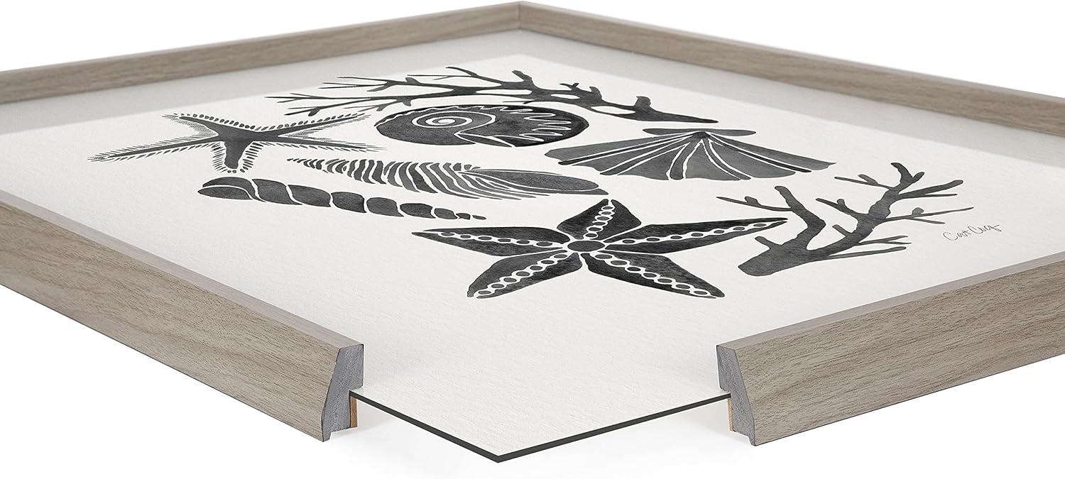 16" x 20" Blake Seashells Black by Cat Coquillette Framed Printed Glass Gray - Kate & Laurel All Things Decor
