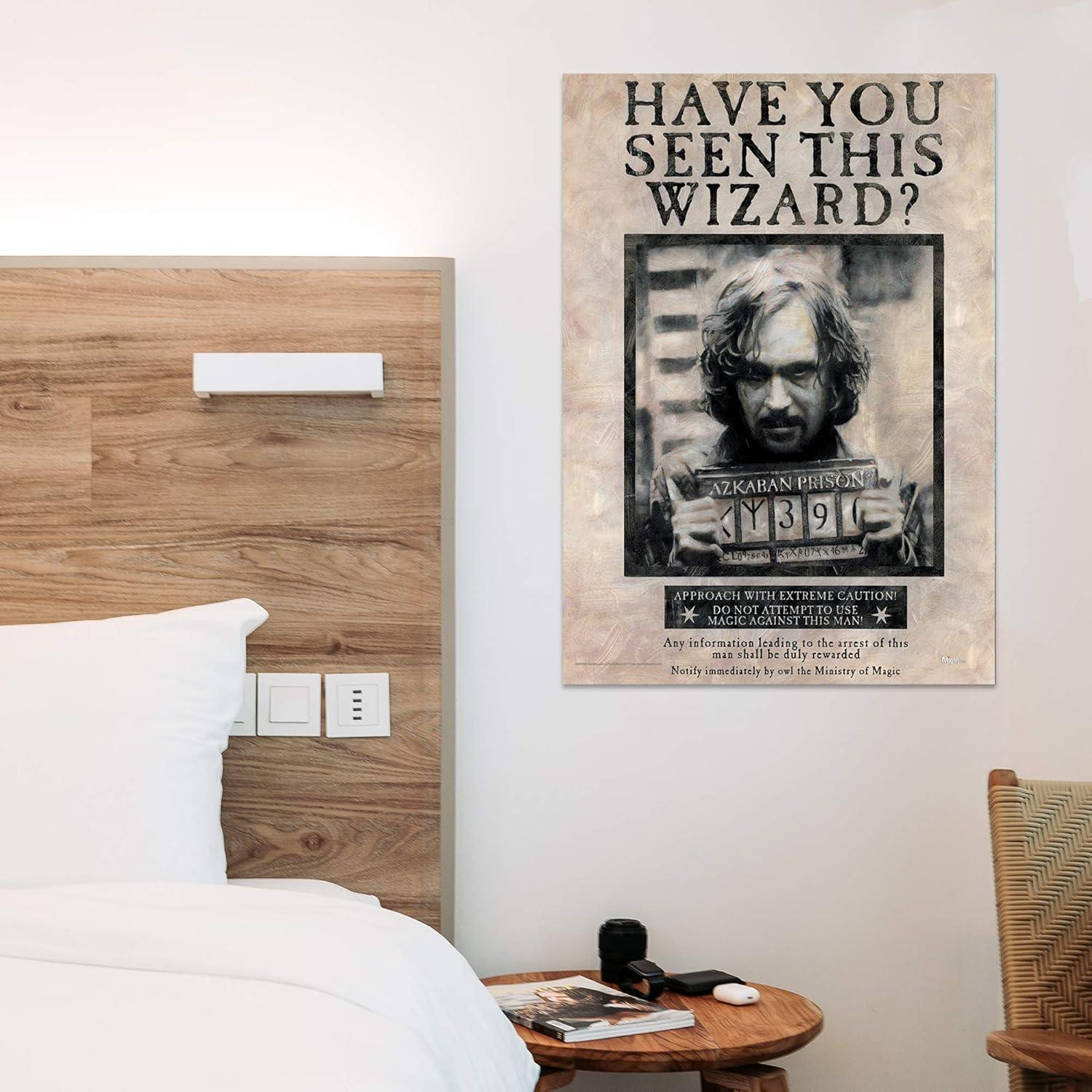 Harry Potter 'Sirius Black' MightyPrint Wall Decor