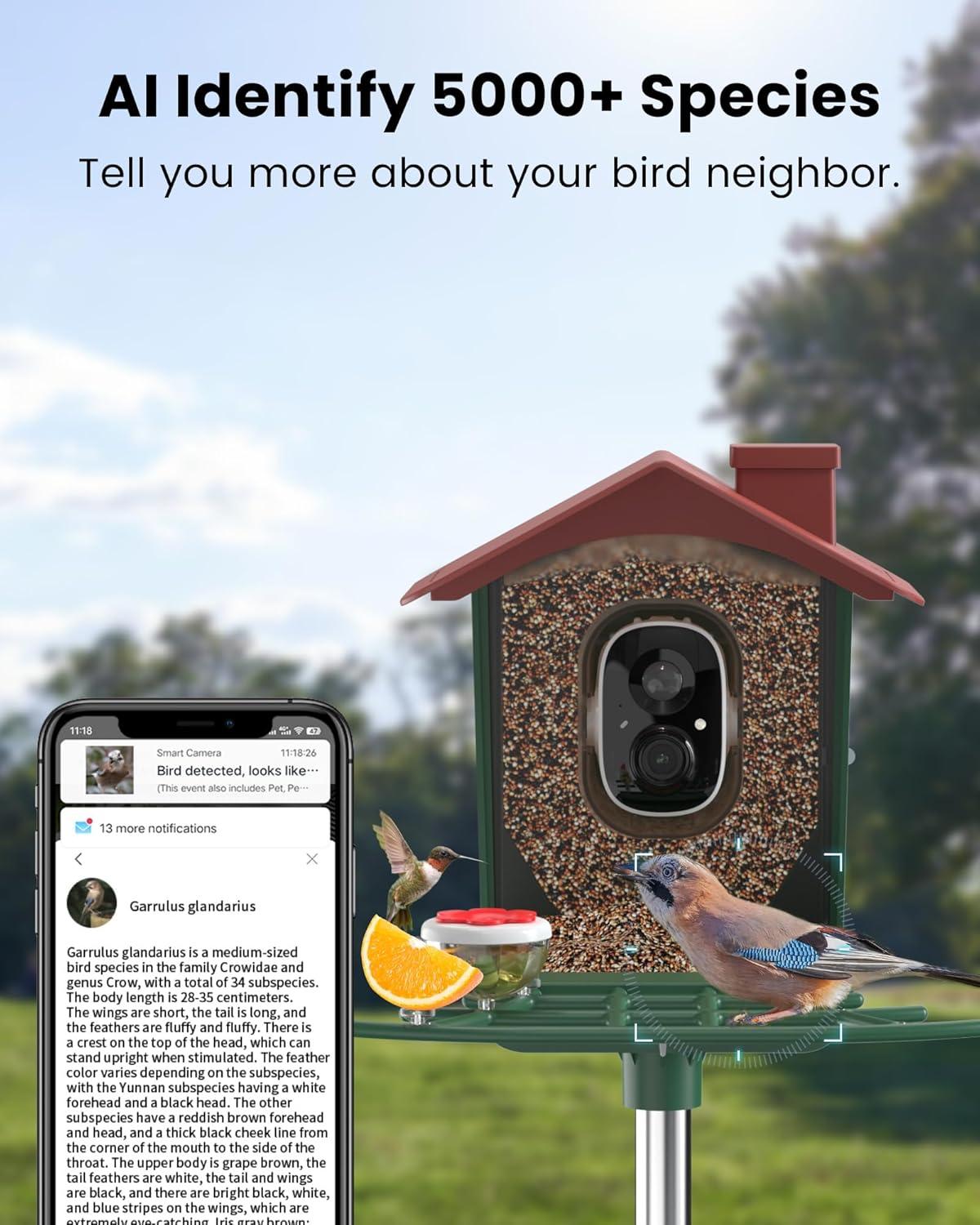 Solar-Powered Green and Red Bird Feeder with 2K HD Camera