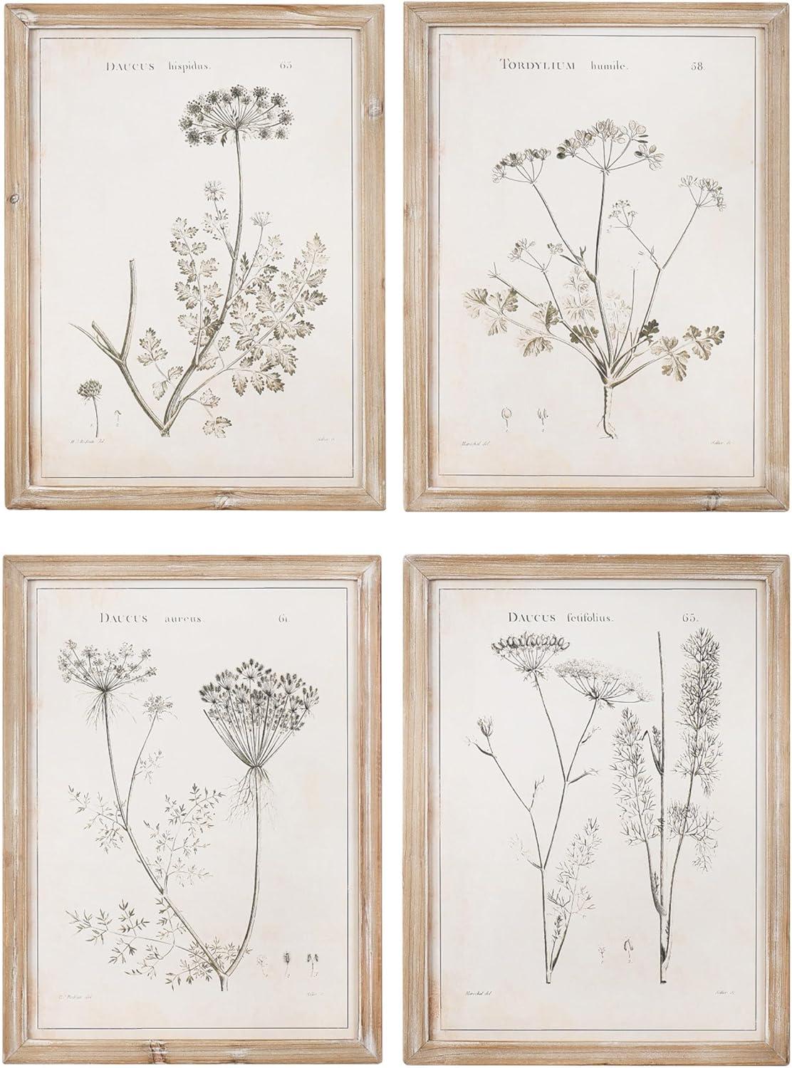 Set of 4 Distressed White Framed Botanical Prints