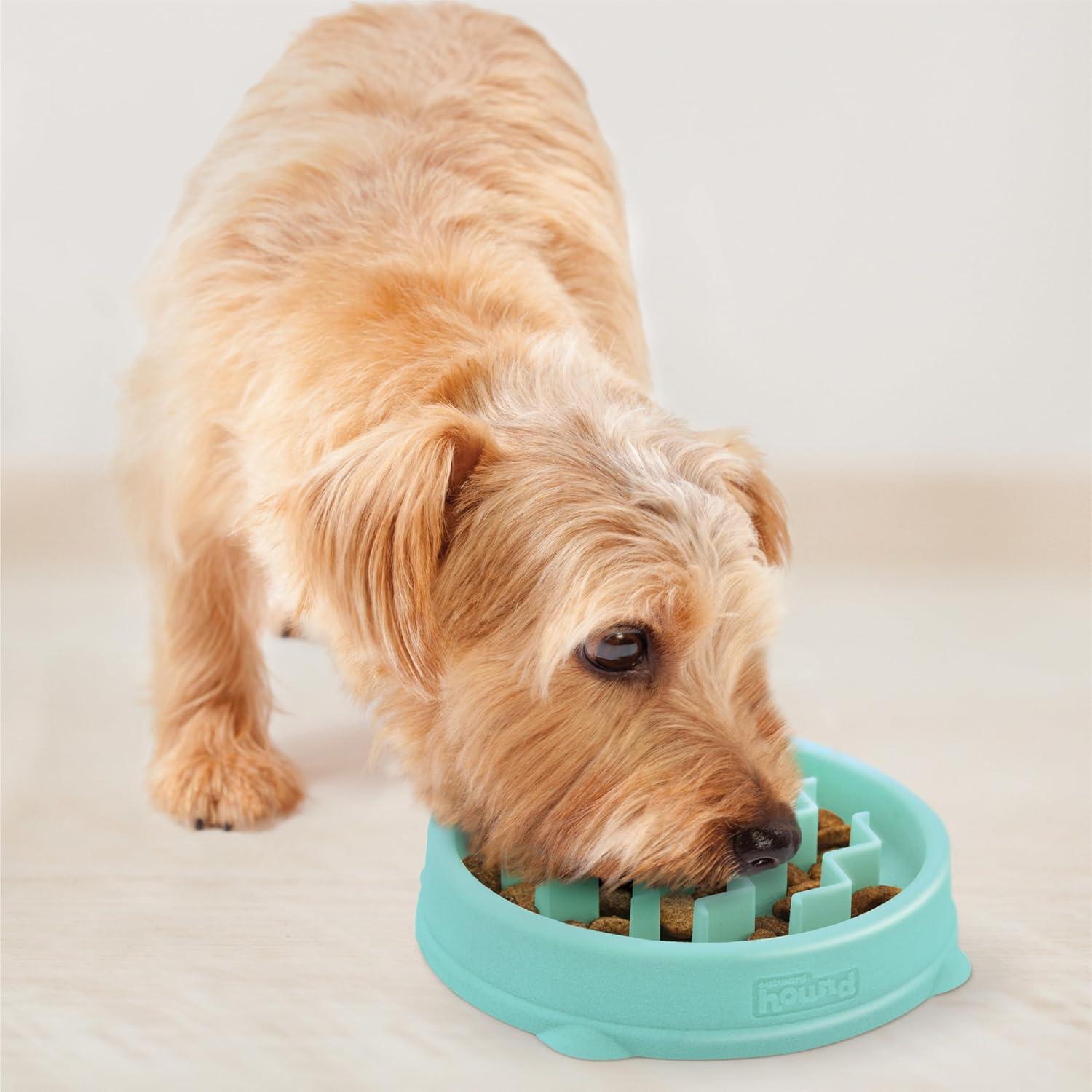 Small Mint Plastic Slow Feeder Dog Bowl