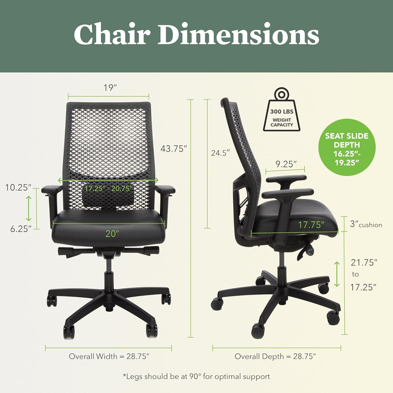 Black Mesh Ergonomic Task Chair with Adjustable Arms