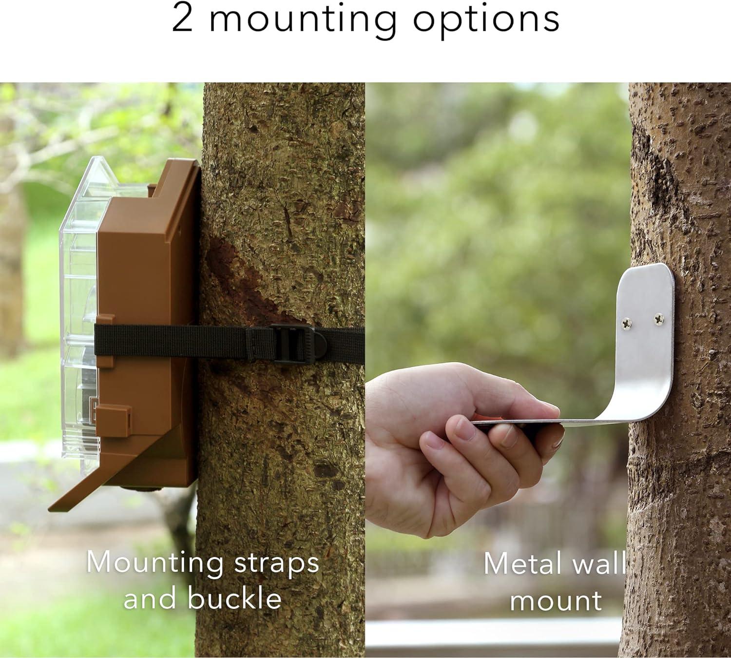 Wasserstein Bird Feeder Camera Case Compatible with Blink, Wyze, and Ring Cam - Bird Feeder for Bird Watching with Your Security Cam - (Camera NOT Included)