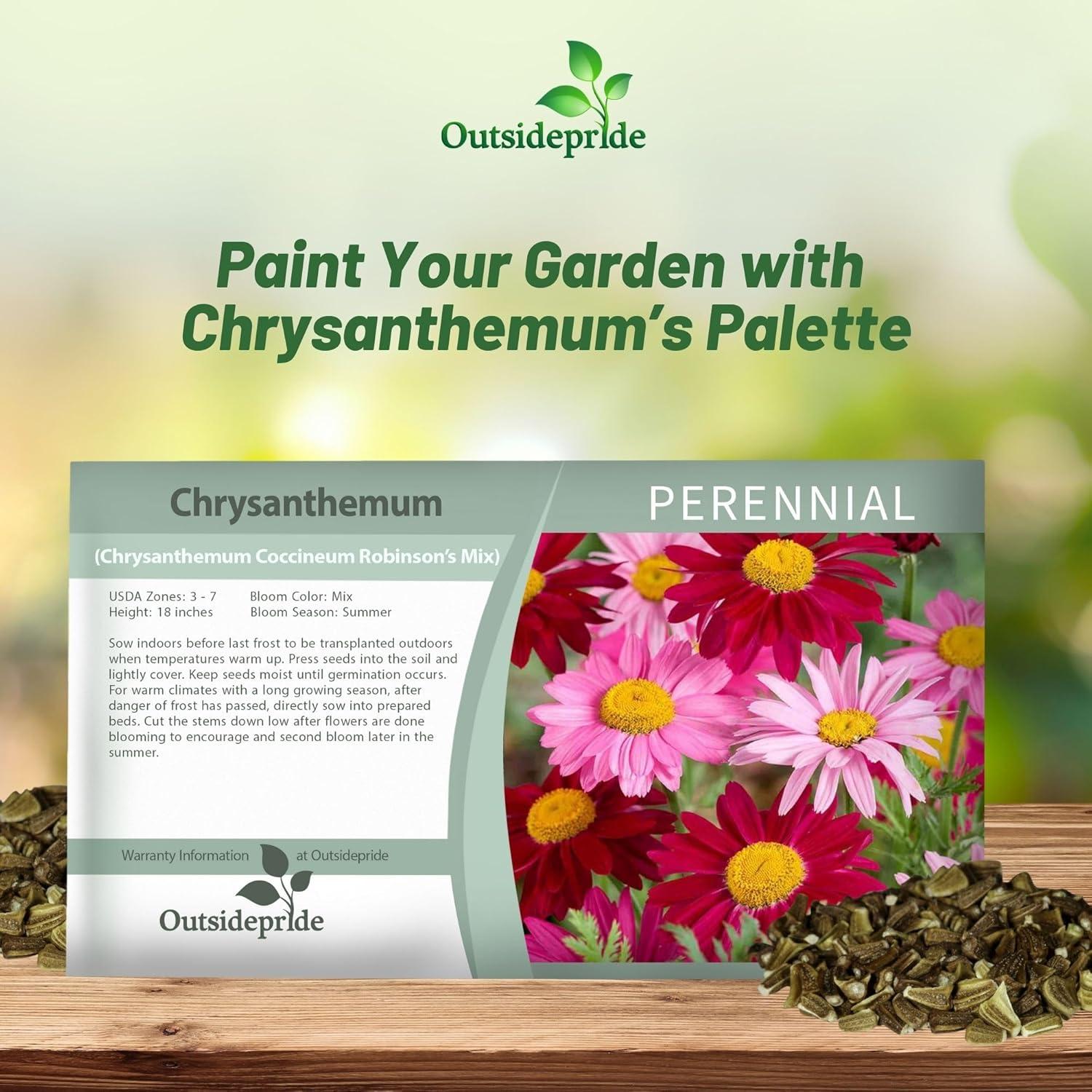 Outsidepride Robinson's Mix Chrysanthemum Seeds - 5000 MHD1Pcs. Perennial, Drought Tolerant Flower Seeds for Planting in Pollinator Gardens, Cut Flowers & Low Maintenance Landscaping