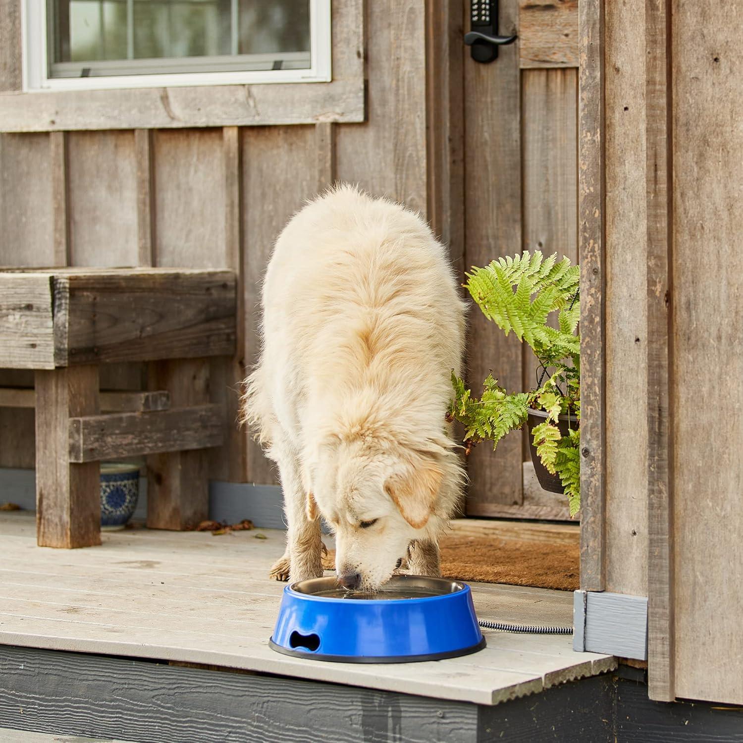 Farm Innovators SB-40 Signature Series 3 Quart Electric Heated Pet Water Bowl with Stainless Steel Insert, Thermostatic Control, 40 Watt