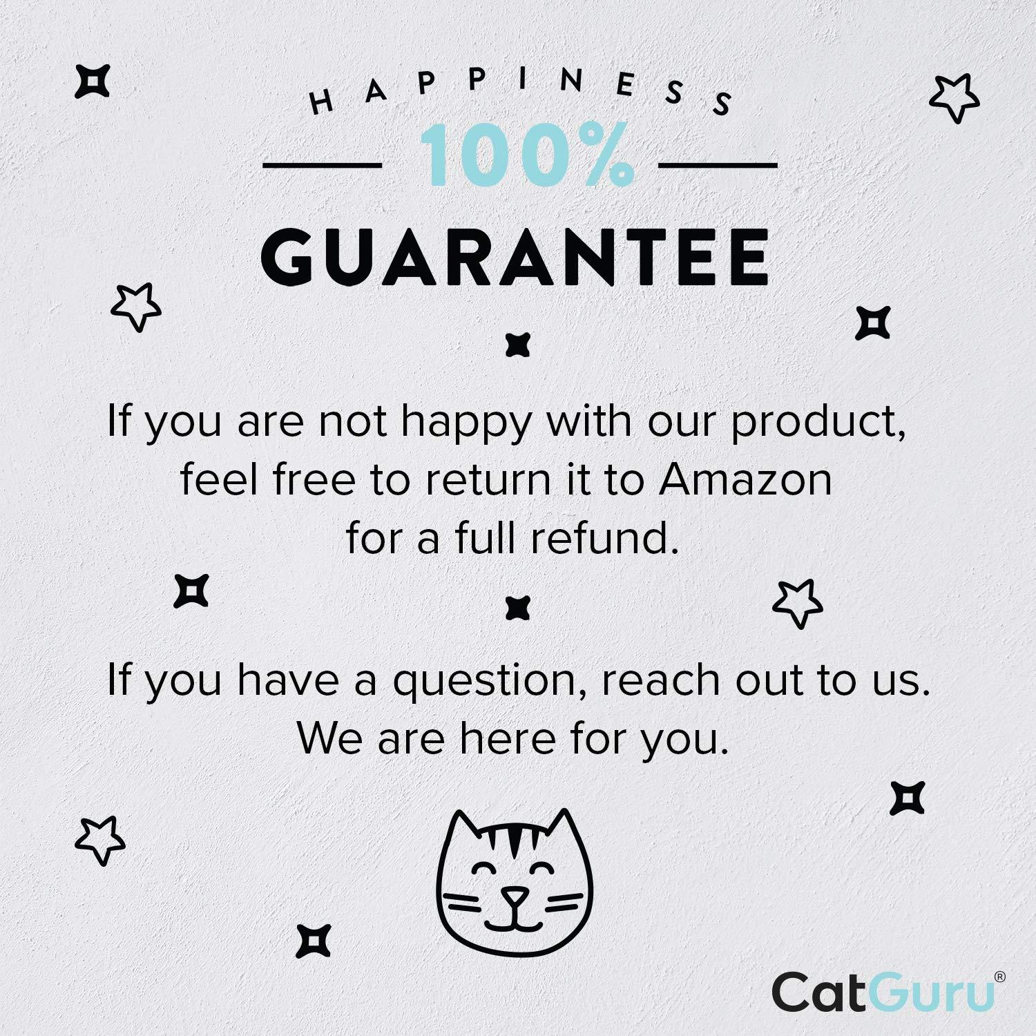 CatGuru Cat Bowls, Whisker Stress Free Cat Food Bowl, Reliefs Whisker Fatigue, Wide Cat Bowl, Non Slip Cat Food Bowls, Shallow Cat Dish, Cat Feeding & Watering Supplies (Stainless Steel)