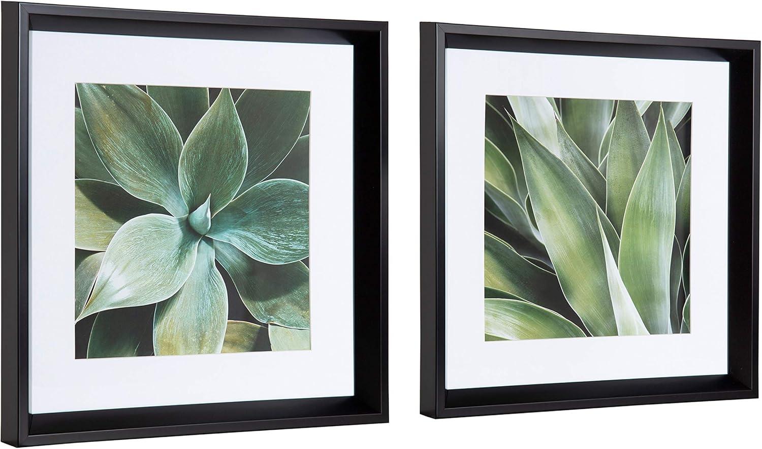 Green Succulent Leaves Framed Canvas Print Set